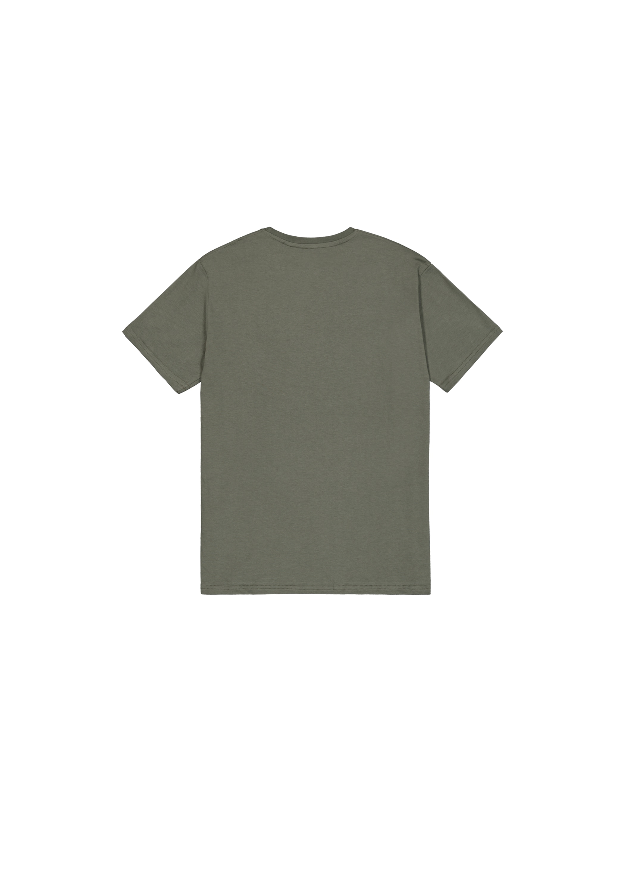Alpha Industries T-shirt »Basic T-Shirt BL Rainbow Ref.«