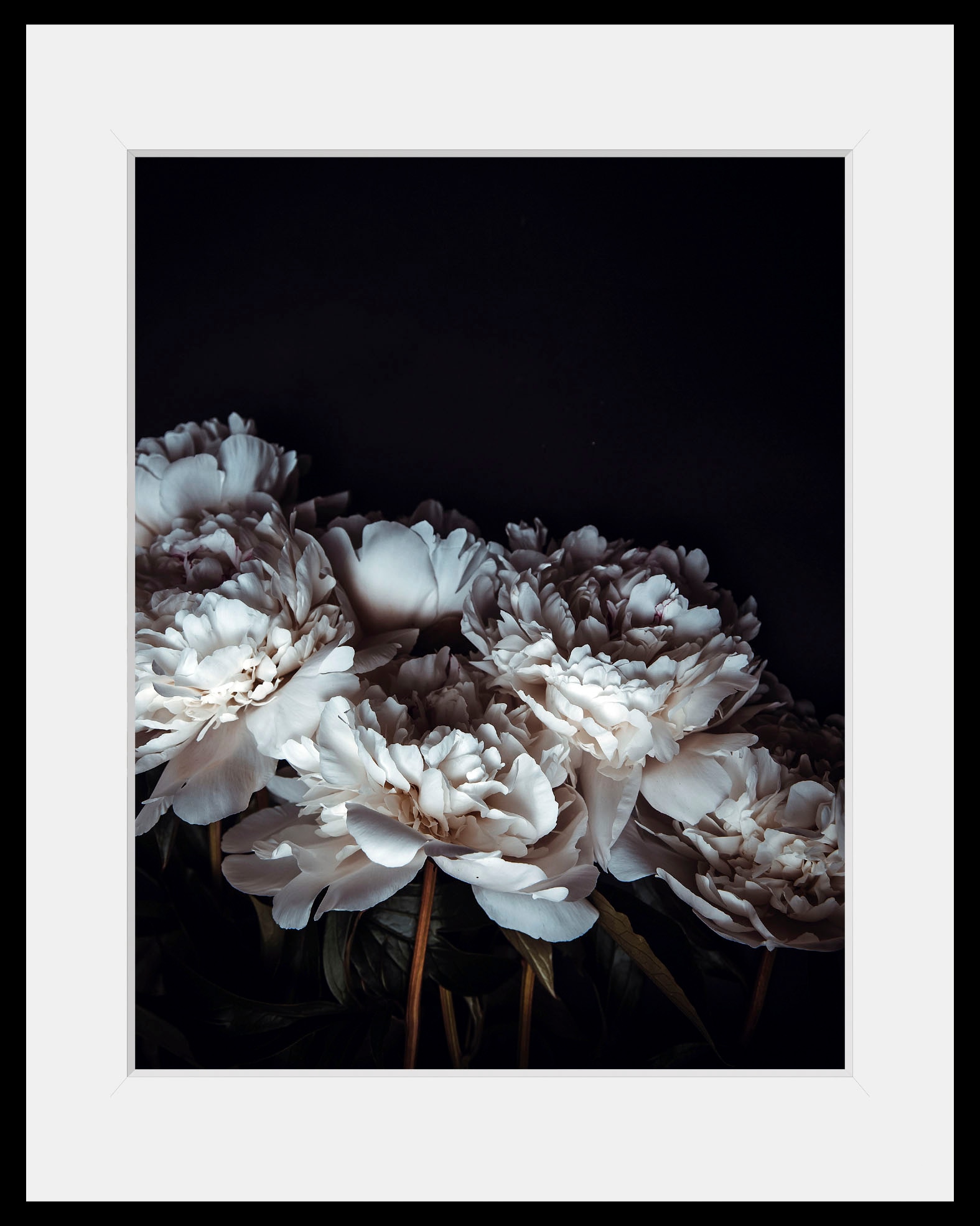 queence Bild »Ella« Blumen | Foto | Pflanzen | Pflanzenbilder 1 Stk. tlg. HD Premium Poster-Druck inkl. Holzrahmen