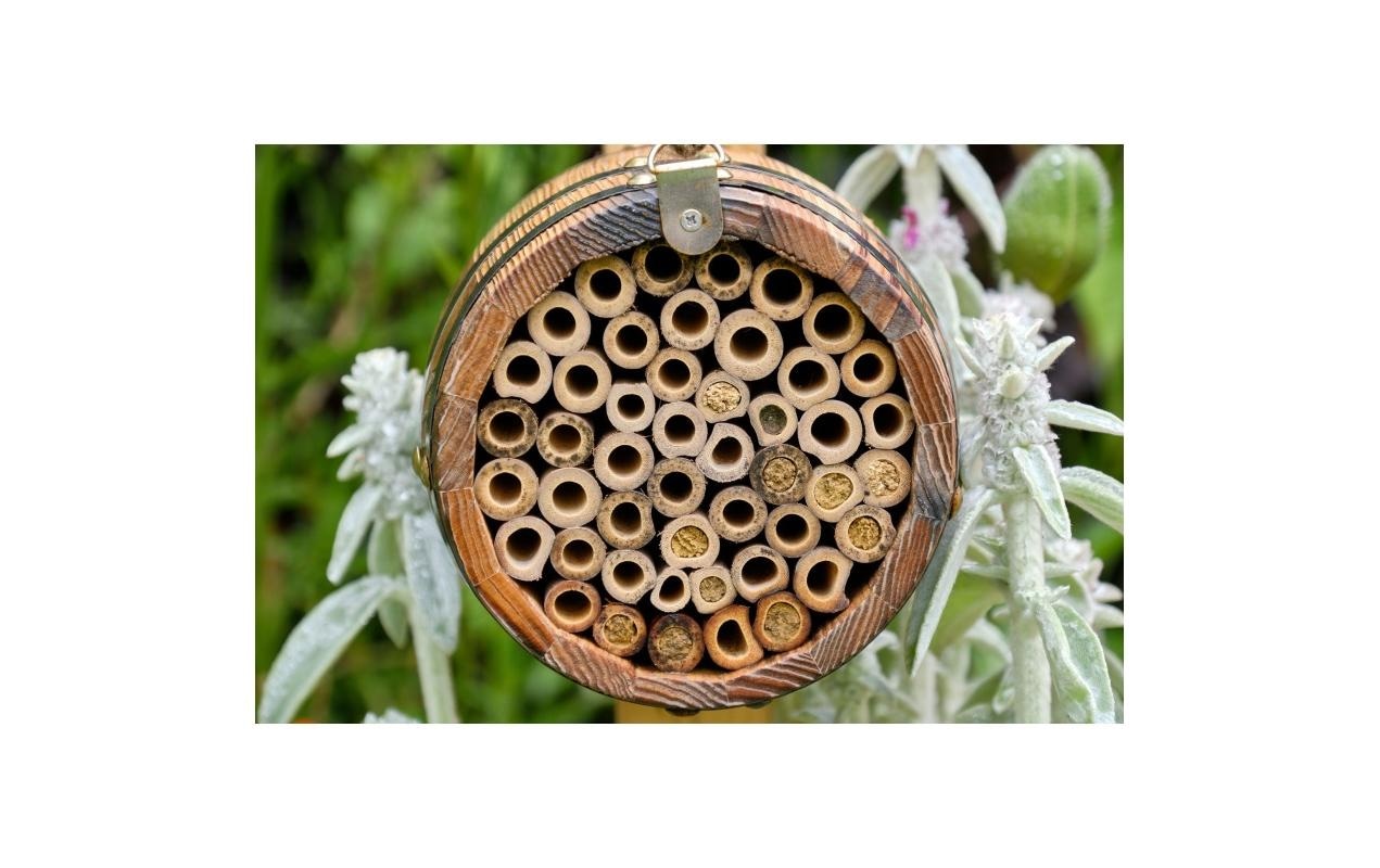   Nistkasten »Wildlife World Bienenfass«