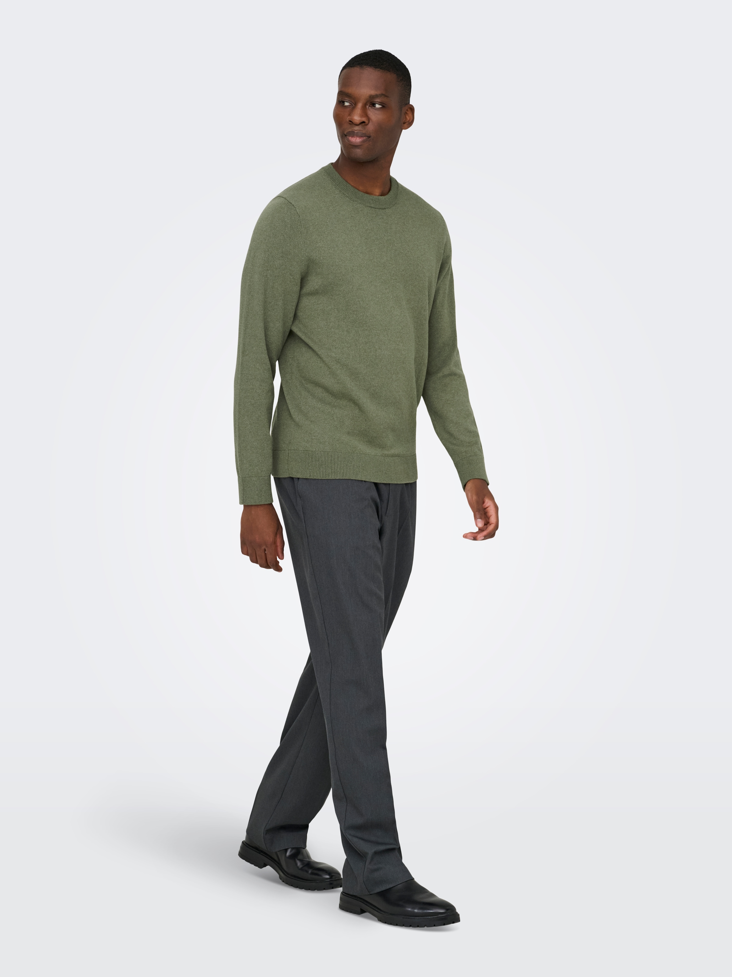 ONLY & SONS Rundhalspullover »ONSREX LIFE REG 12 CREW KNIT«