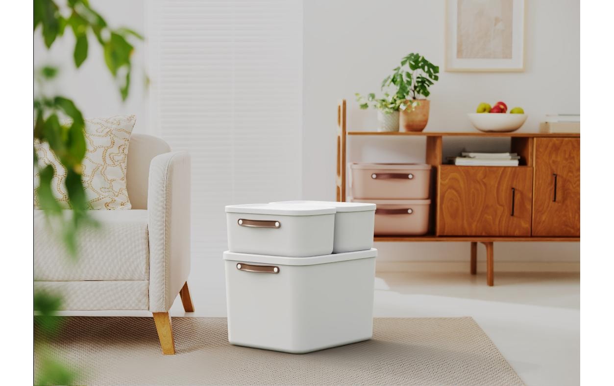 ROTHO Boîte de rangement »Rotho Aufbewahrungsbox MALOJA 55 l, 2 Stück«