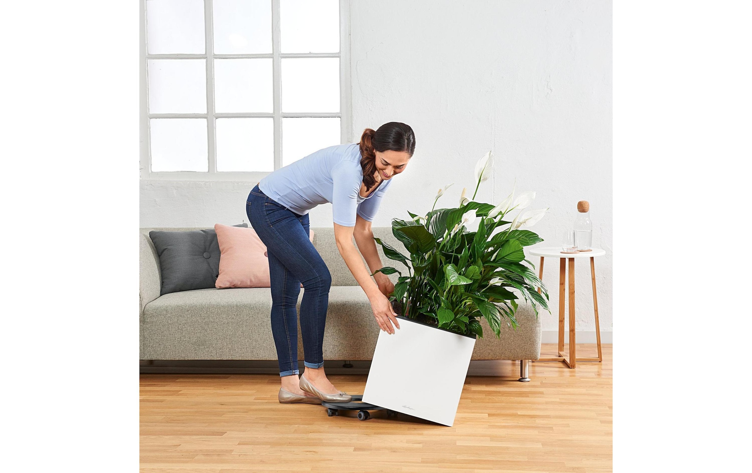   Bac à plantes »Lechuza CANTO Premium 40 low«