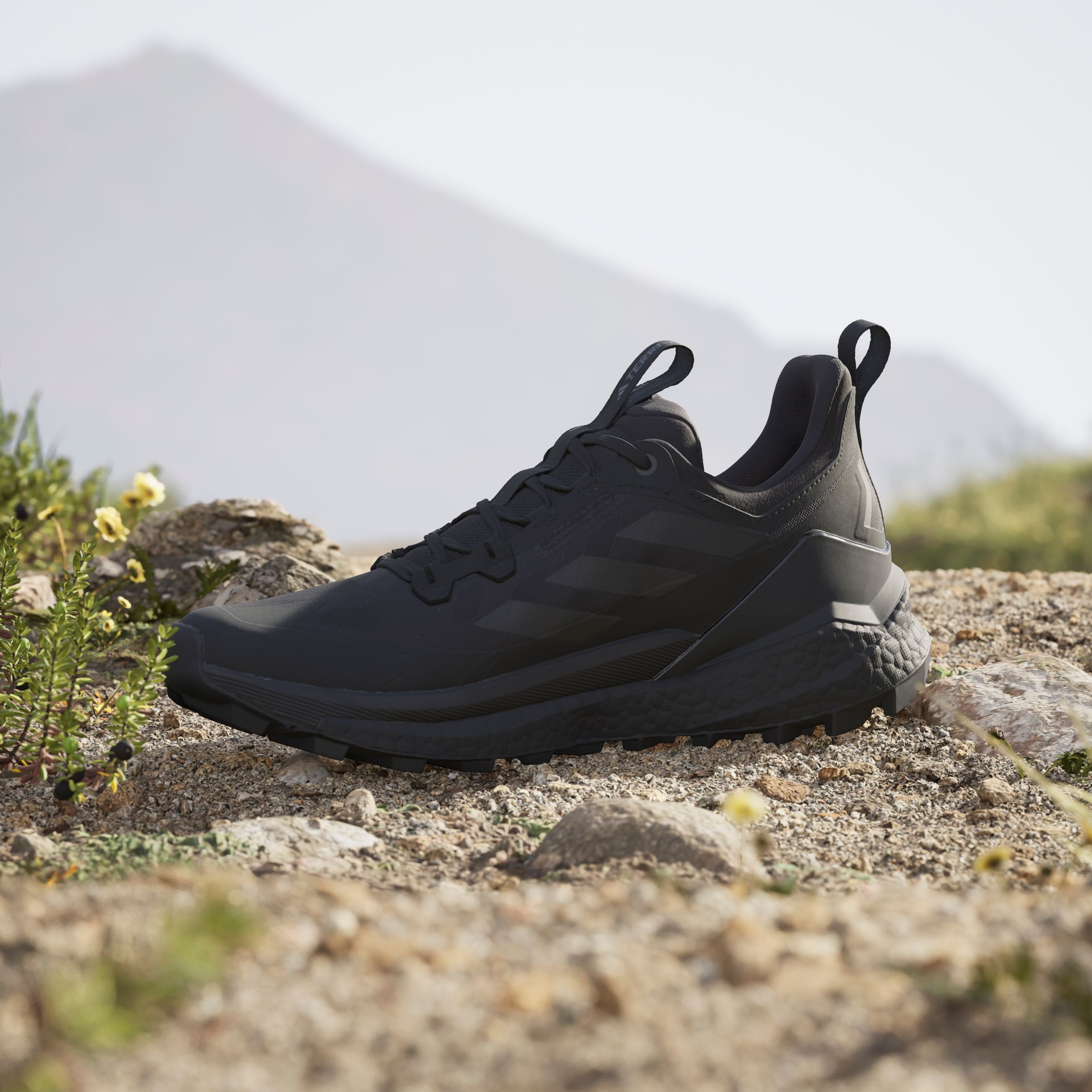 adidas TERREX Wanderschuh »FREE HIKER 2.0 LOW«