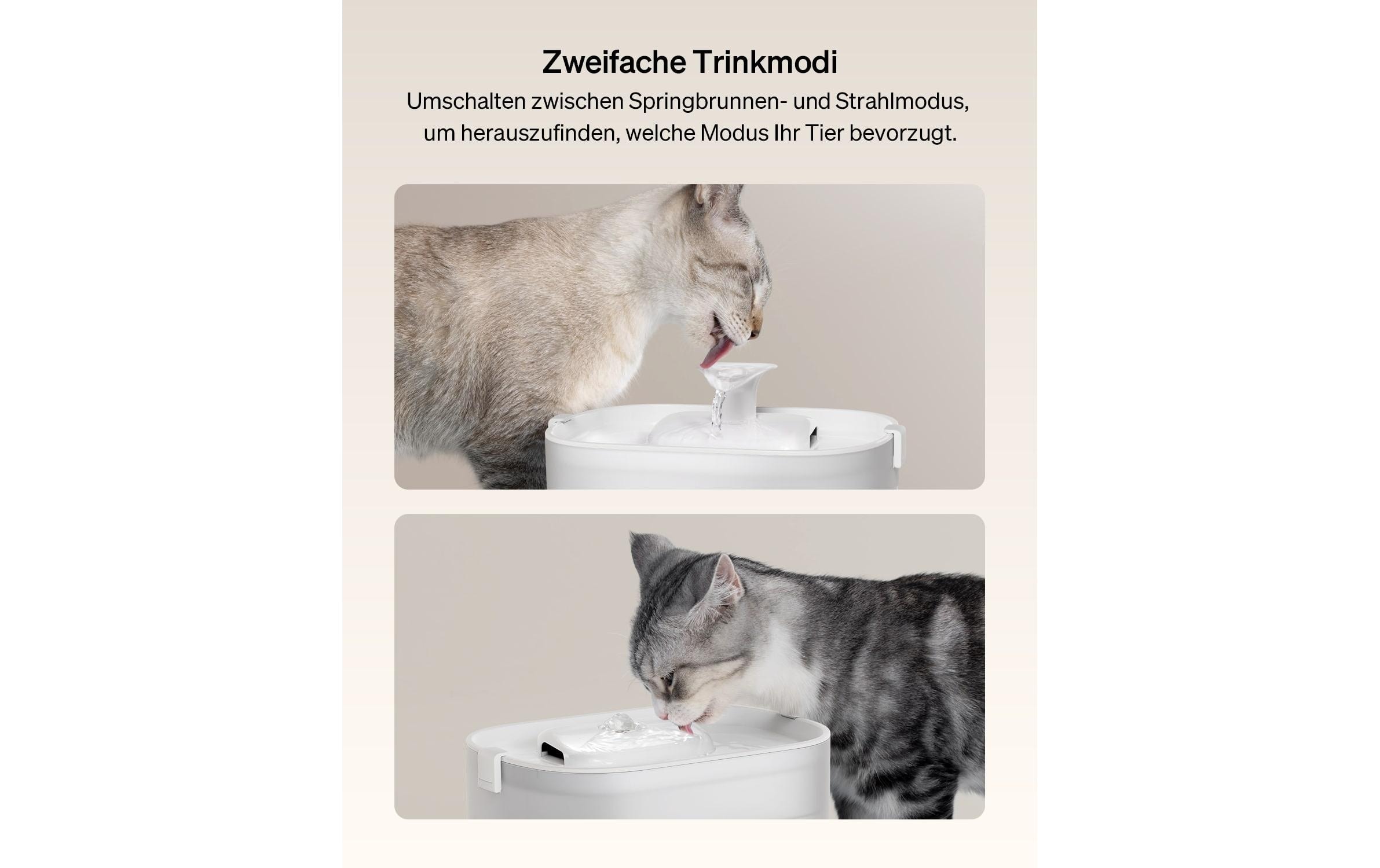   Trinkbrunnen »Petlibro« Trinkbrunnen für Katzen und Hunde