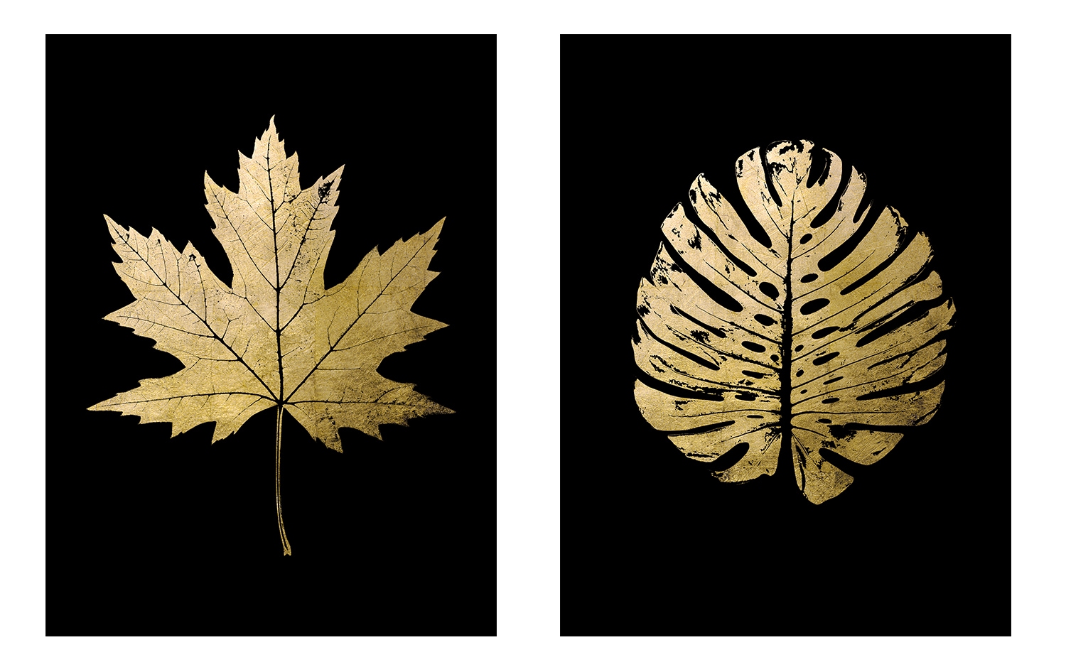 GOODproduct Poster »Ahorn Blätter Poster Set Gold - Dekoration« Blätterbilder Set, 2er-Set, 2 Stk. tlg. 2er-Set - jeweils 30x40cm