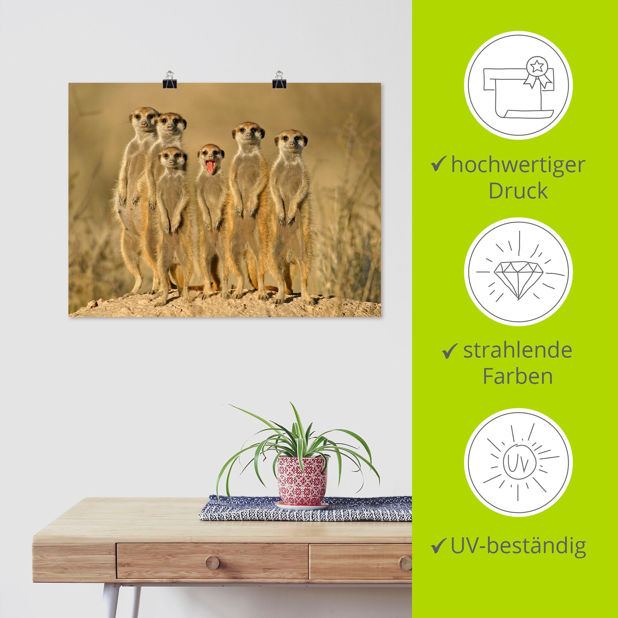 Artland Wandbild »Erdmännchen Familie« Wildtiere 1 Stk. tlg. als Poster in verschied. Grössen