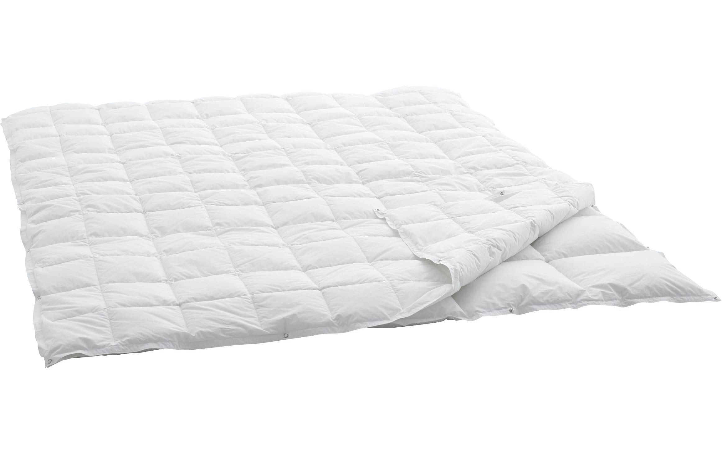 Swiss Dream by billerbeck Couette en duvet »Caro Basic« 1 cuis tlg. 4-Saisons-Daunenduvet