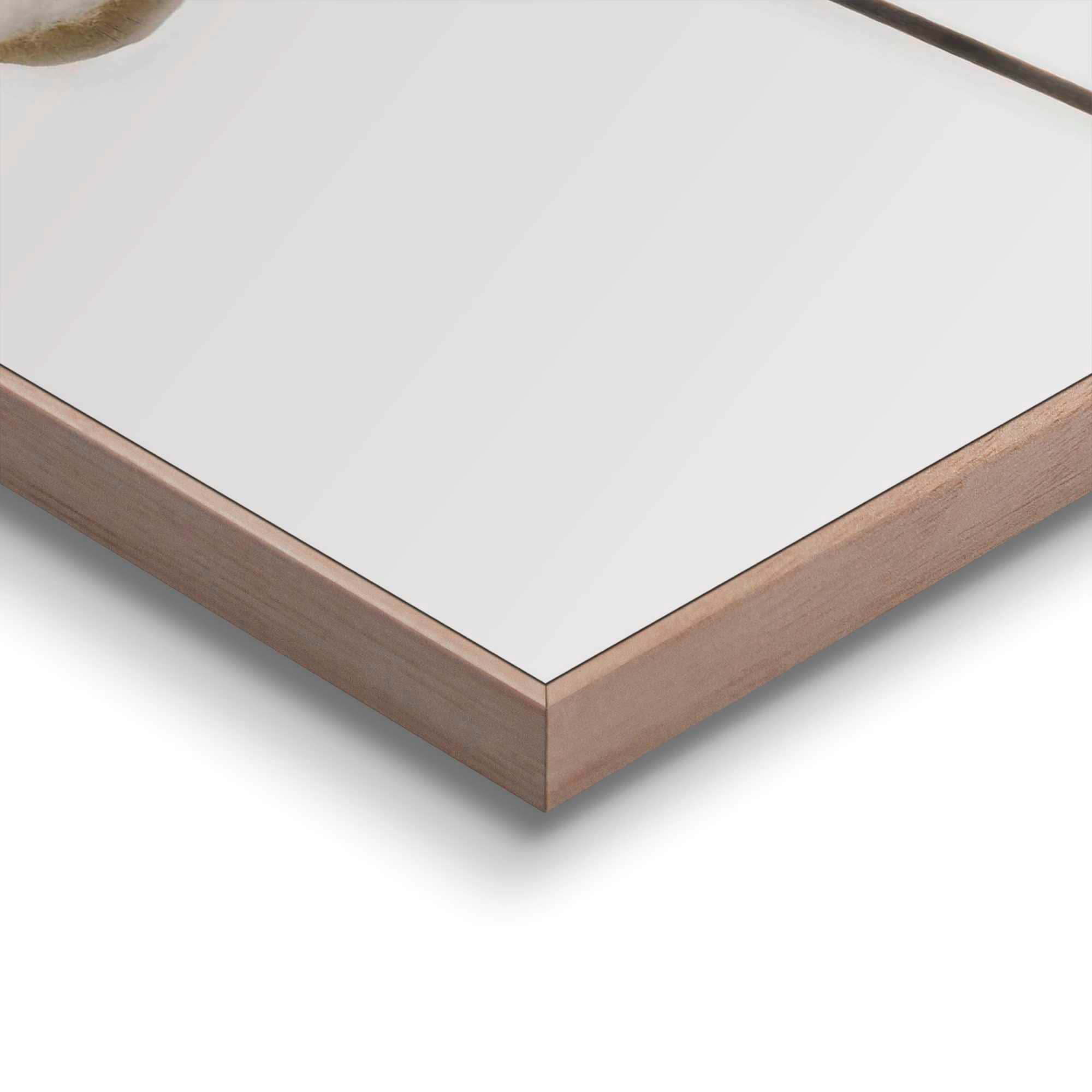 Reinders! Poster »Baumwollzweig«