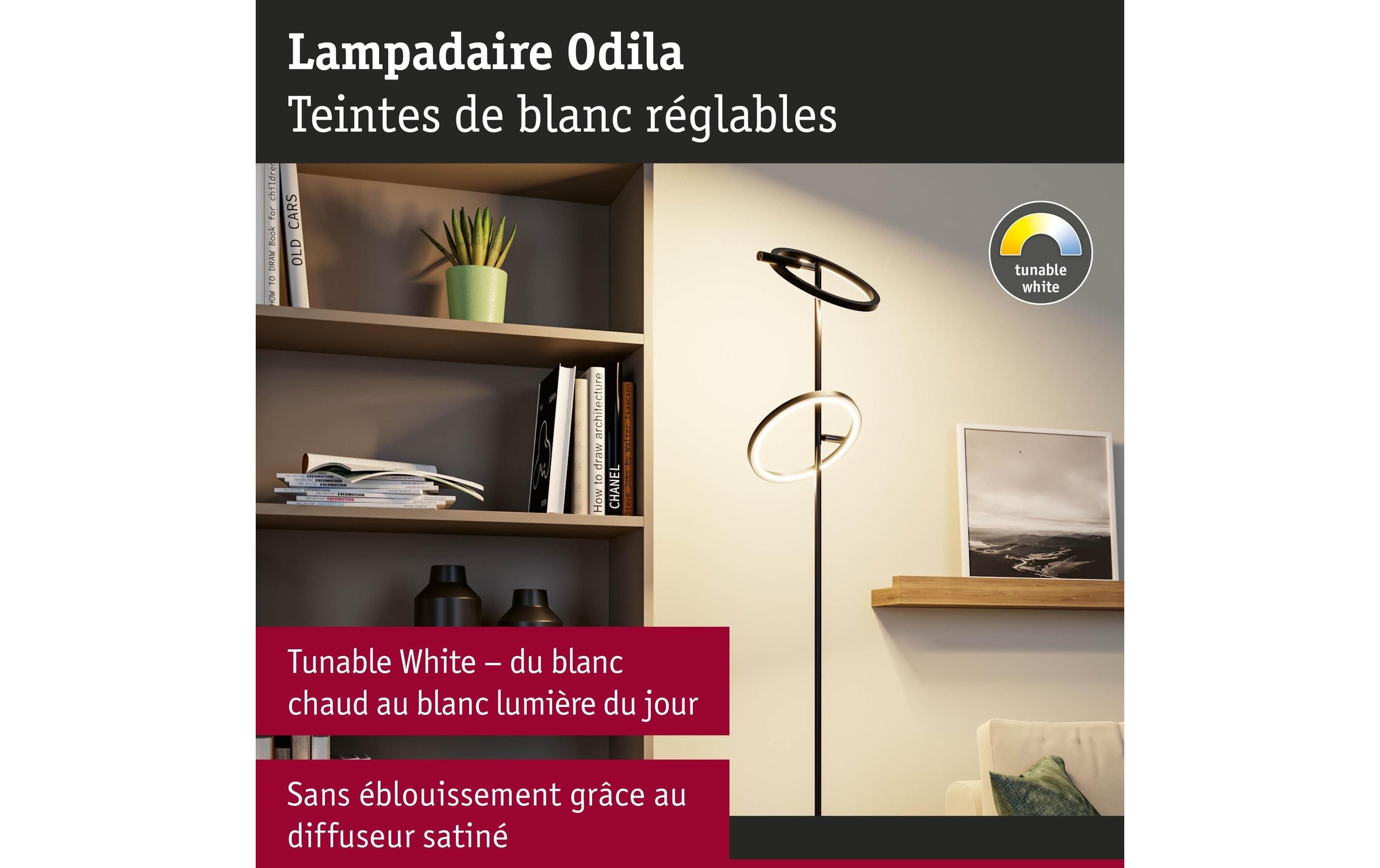 Paulmann Lampadaire à LED »Stehleuchte Odila, Schwarz matt« Module LED blanc chaud - blanc froid