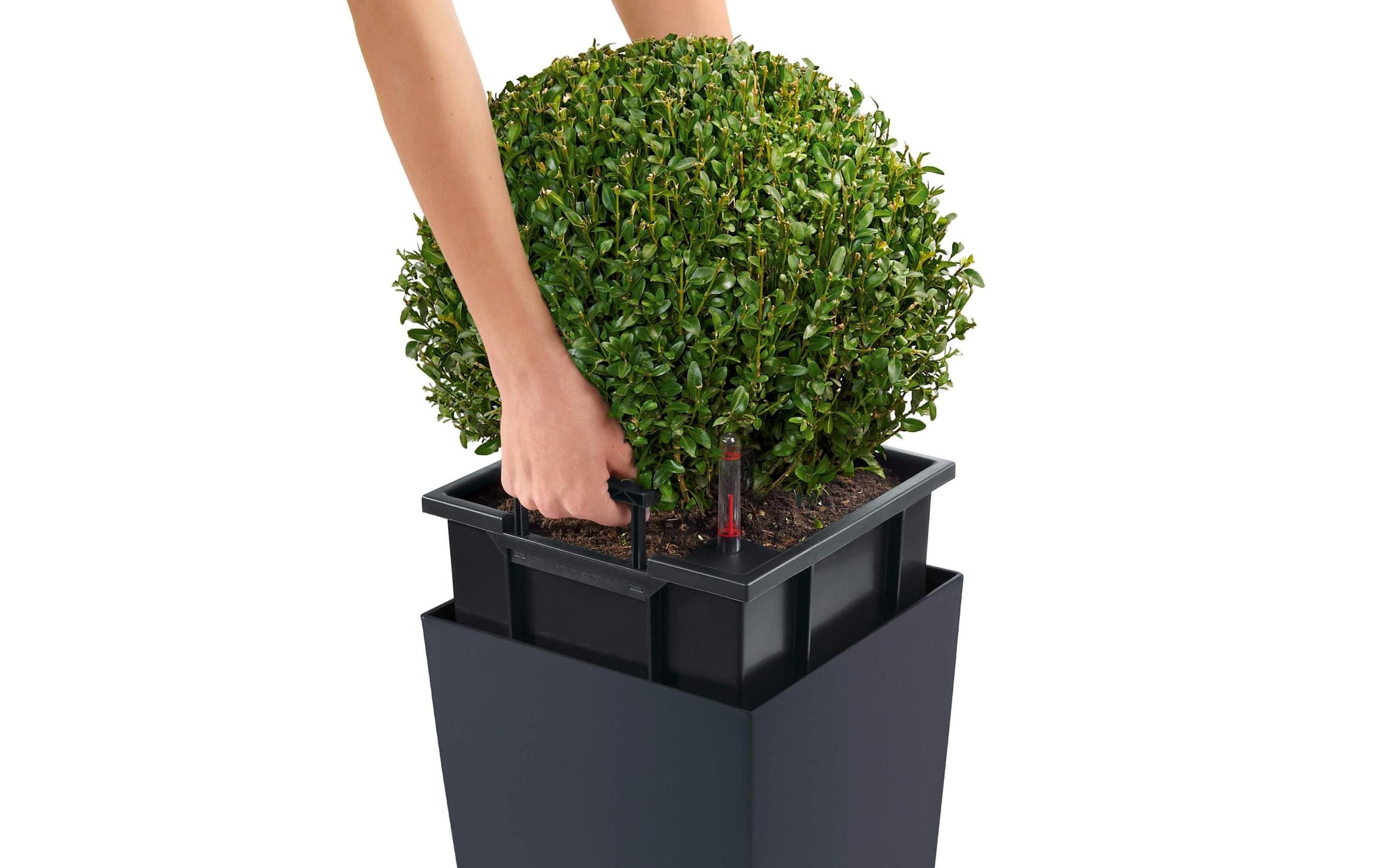   Pot de fleurs »Lechuza CUBICO Color 40«