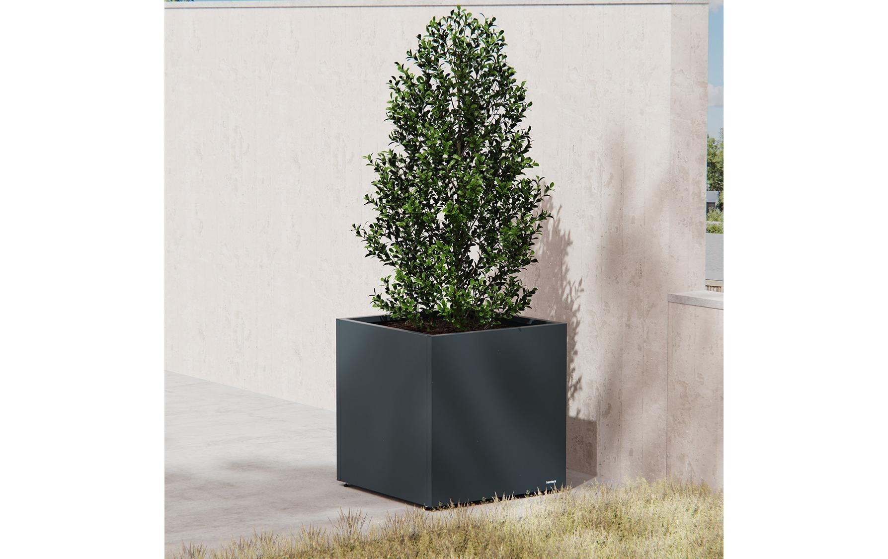 Herstera Garden Bac à plantes »Metall Würfel«