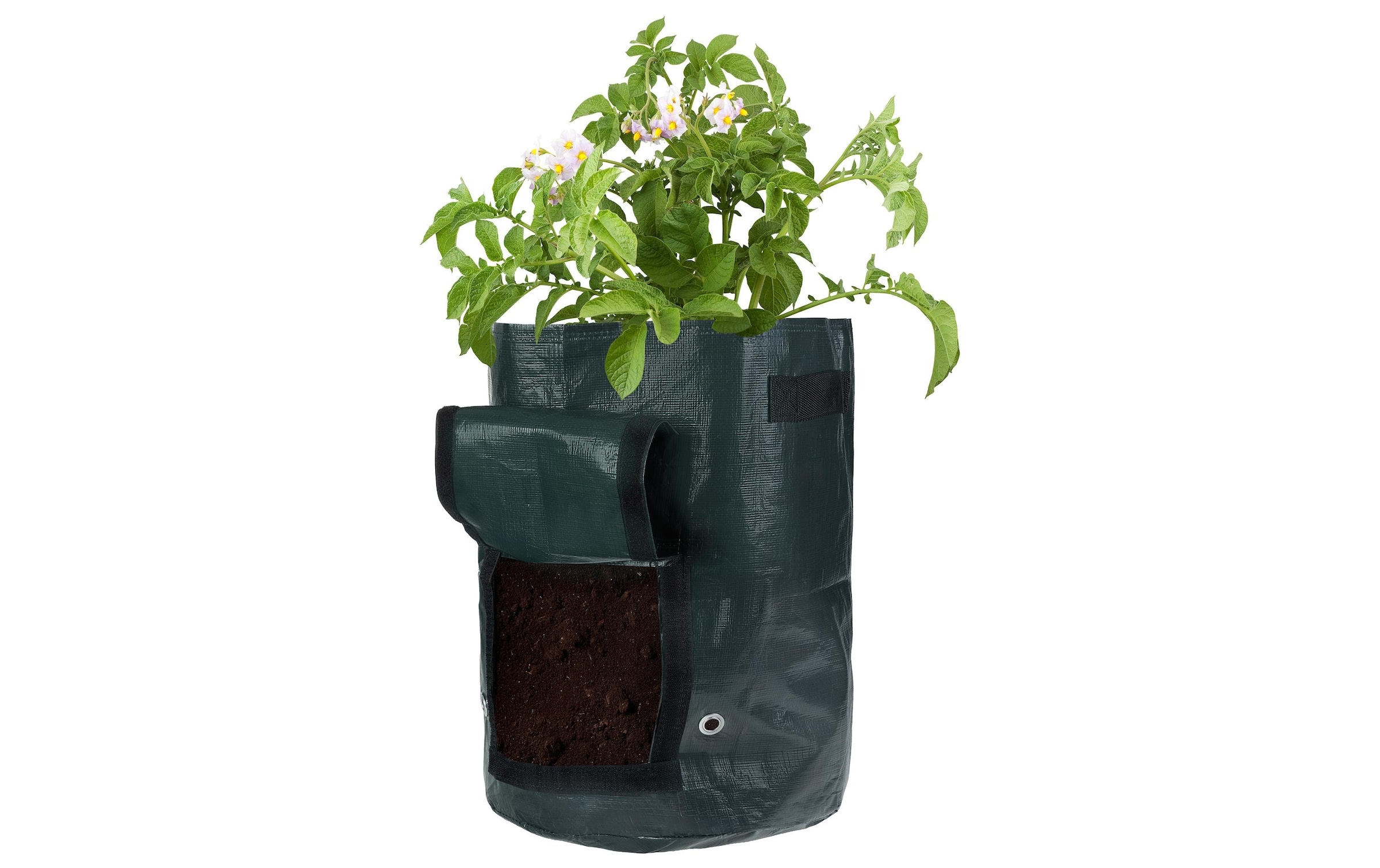 STRUCT Pflanzschale »4er Set, PE,«