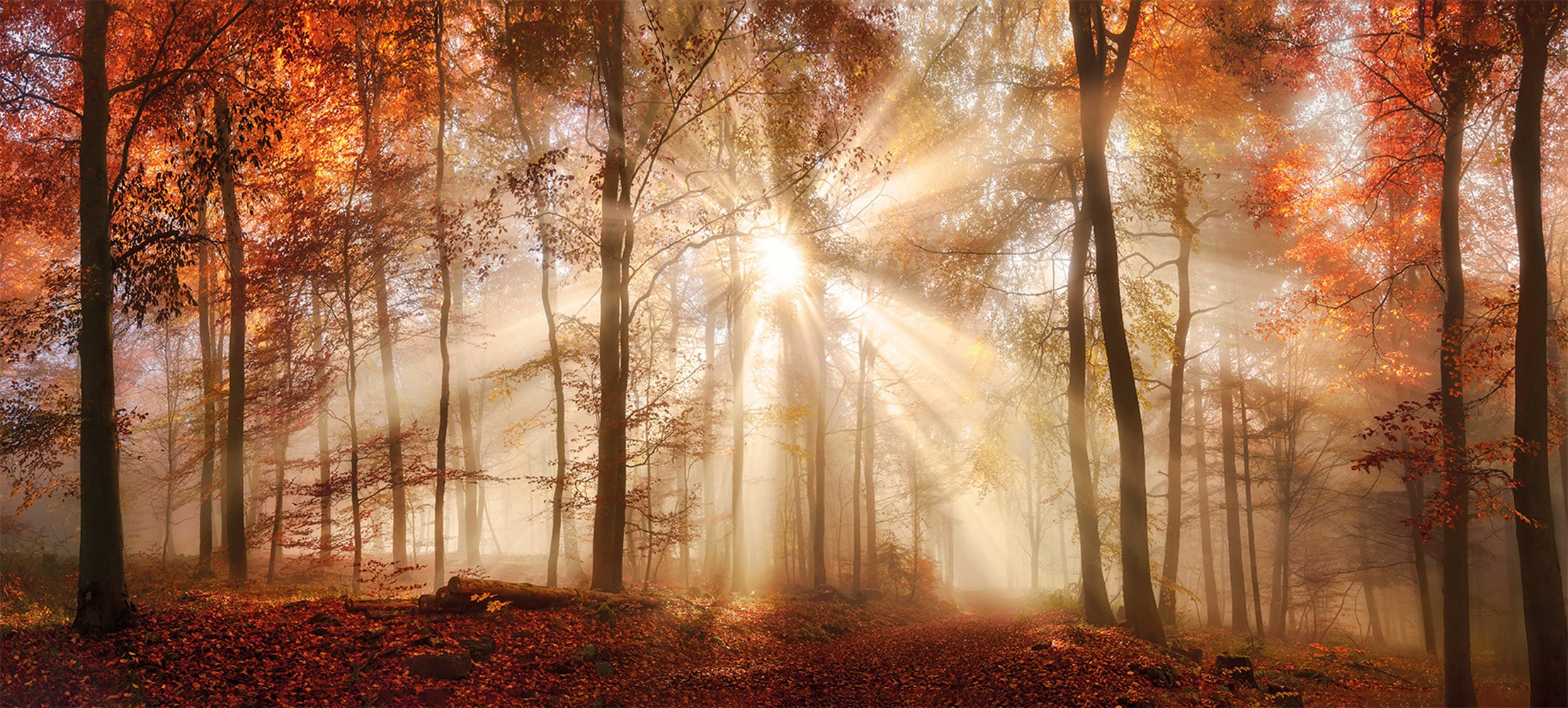 Bönninghoff Bild »Wandbild HERBSTWALD XXL 90x200 cm – Leinwandbild Keilrahmen Deko« Sonnenaufgang & -untergang | Wald | Waldbilder auf Keilrahmen gespannt