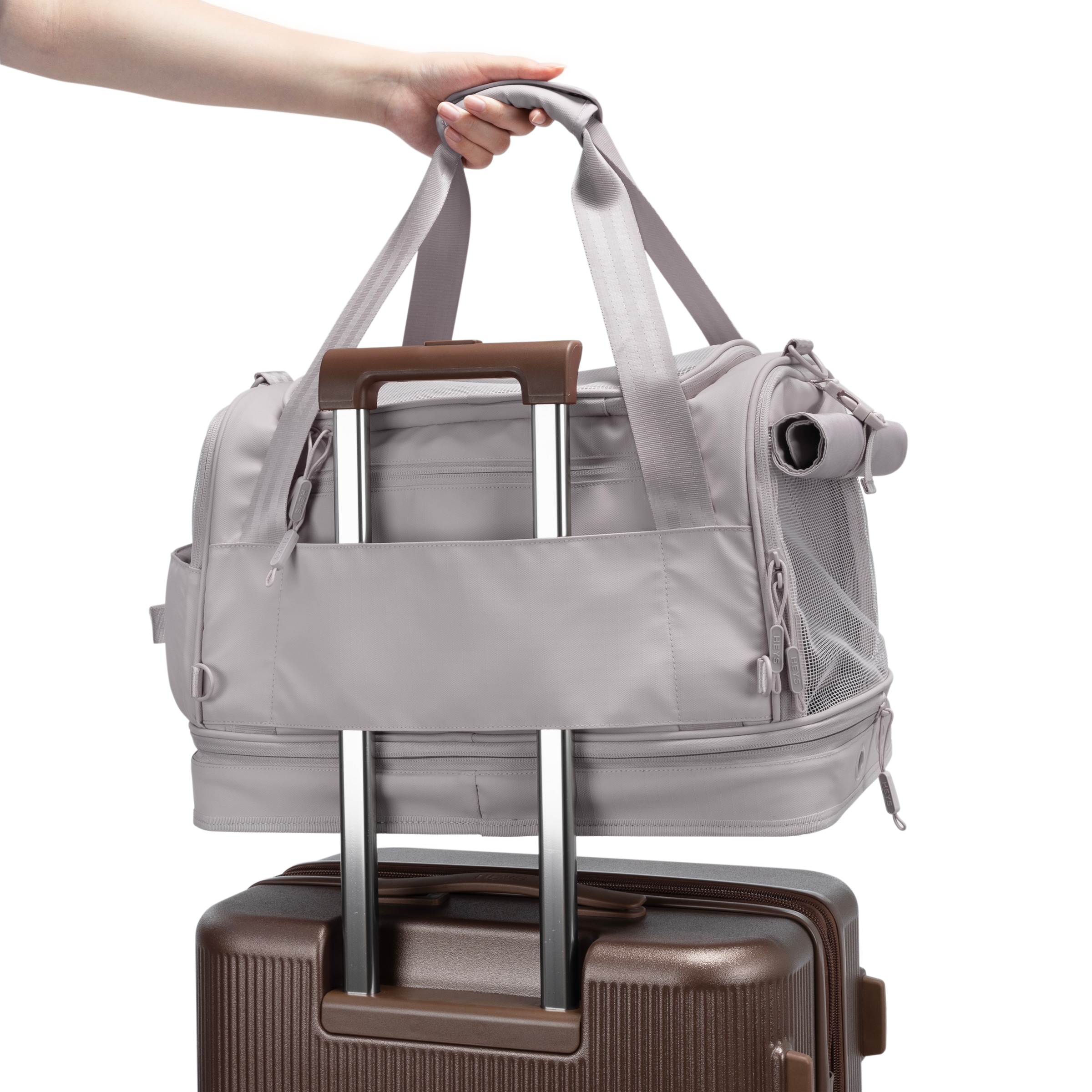 Heys Sac de transport pour animaux »Heys Pawsenger« valise pour animaux, sac de transport pour animaux, adapté pour bagage à main selon la recommandation IATA