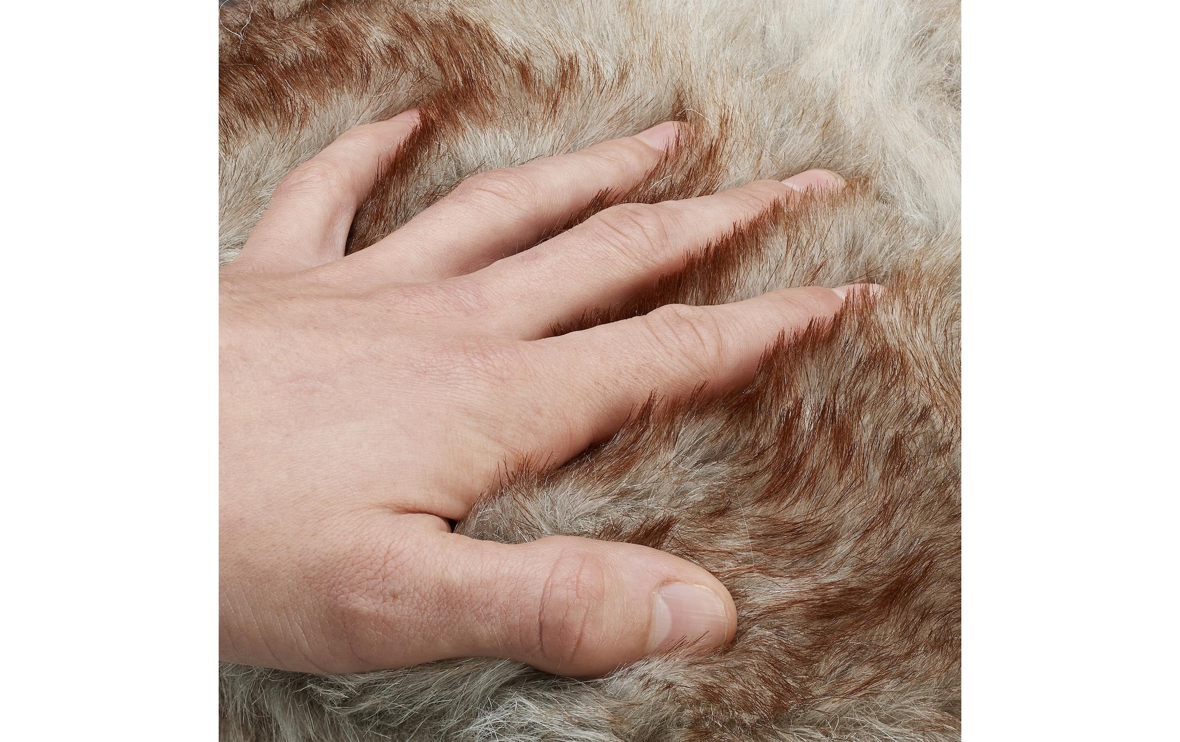 relaxdays Hocker »42 x 33 cm« Sitzhocker mit Fell