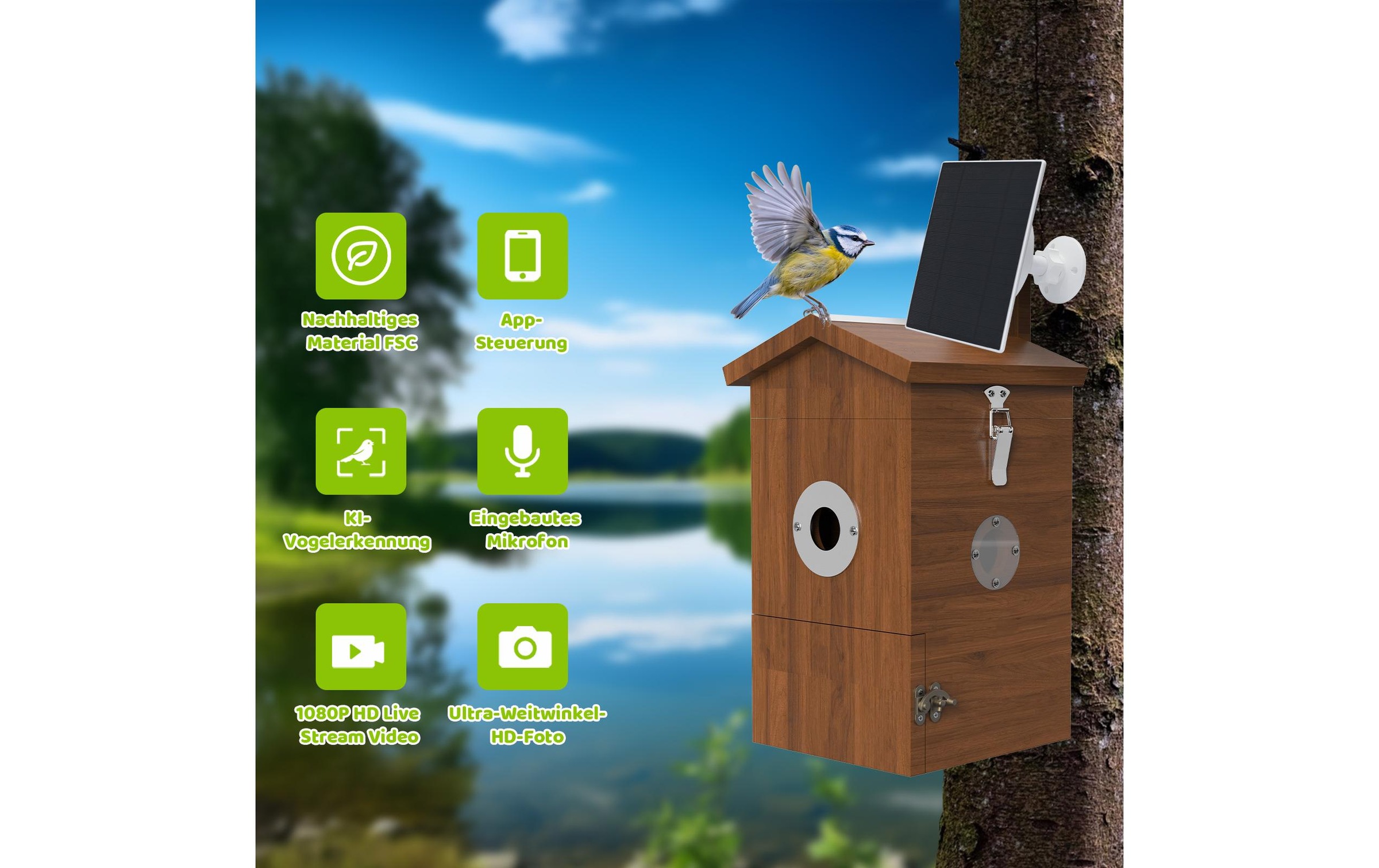   Nistkasten »Sanilu Vogel mit Kamera und Solarpanel«