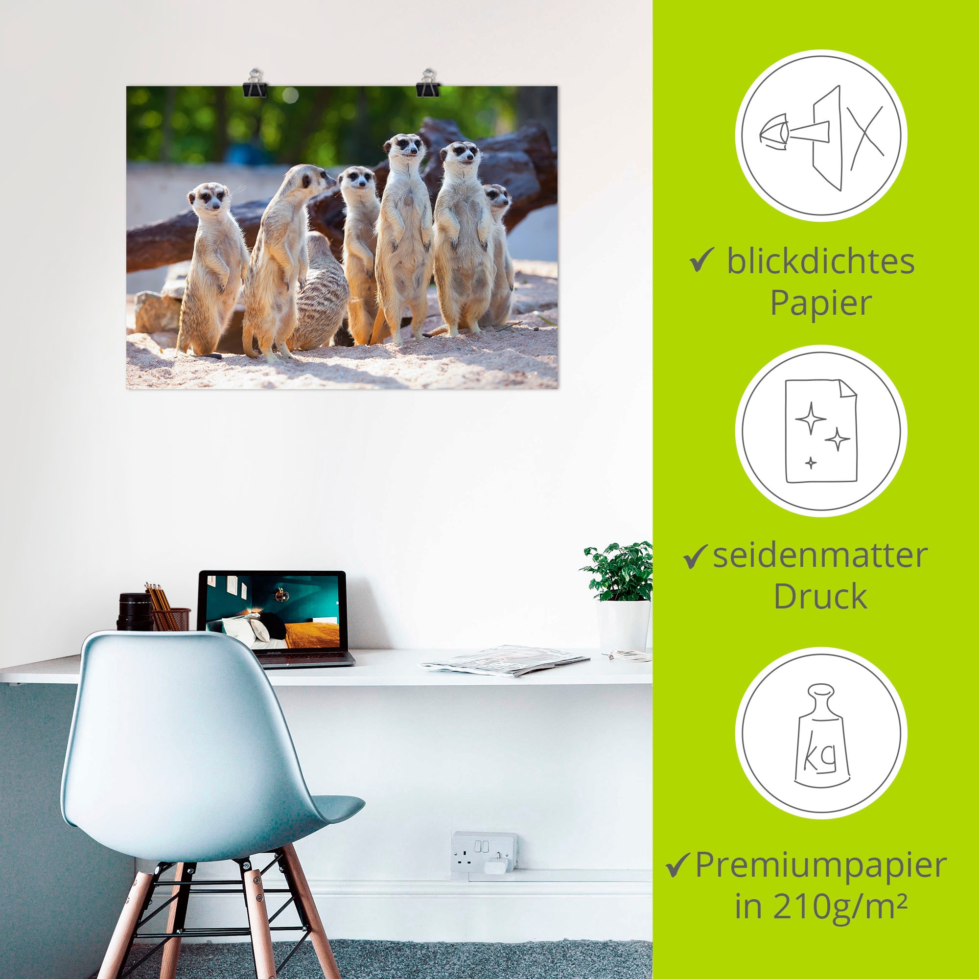 Artland Poster »Erdmännchenfamilie« Wildtiere 1 Stk. tlg. ohne Rahmen