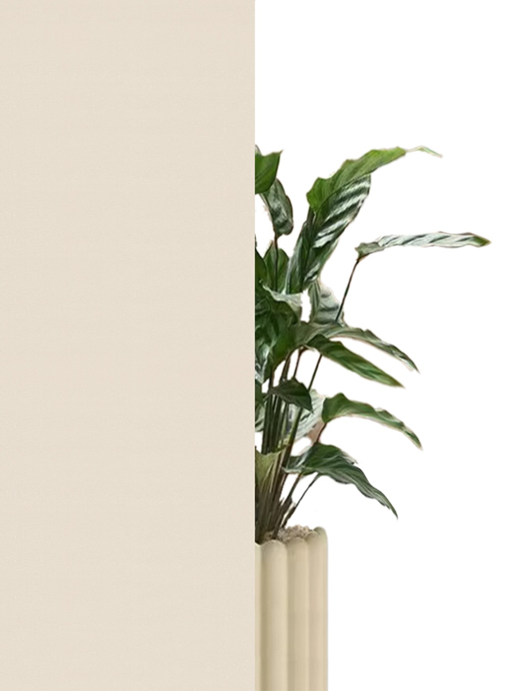 my home Seitenzugrollo »THEMSE« abdunkelnd Sichtschutz | Verdunkelung | energiesparend ohne Bohren freihängend Bestseller mit über 3000 4,5-Sterne-Bewertungen, Klemmträger