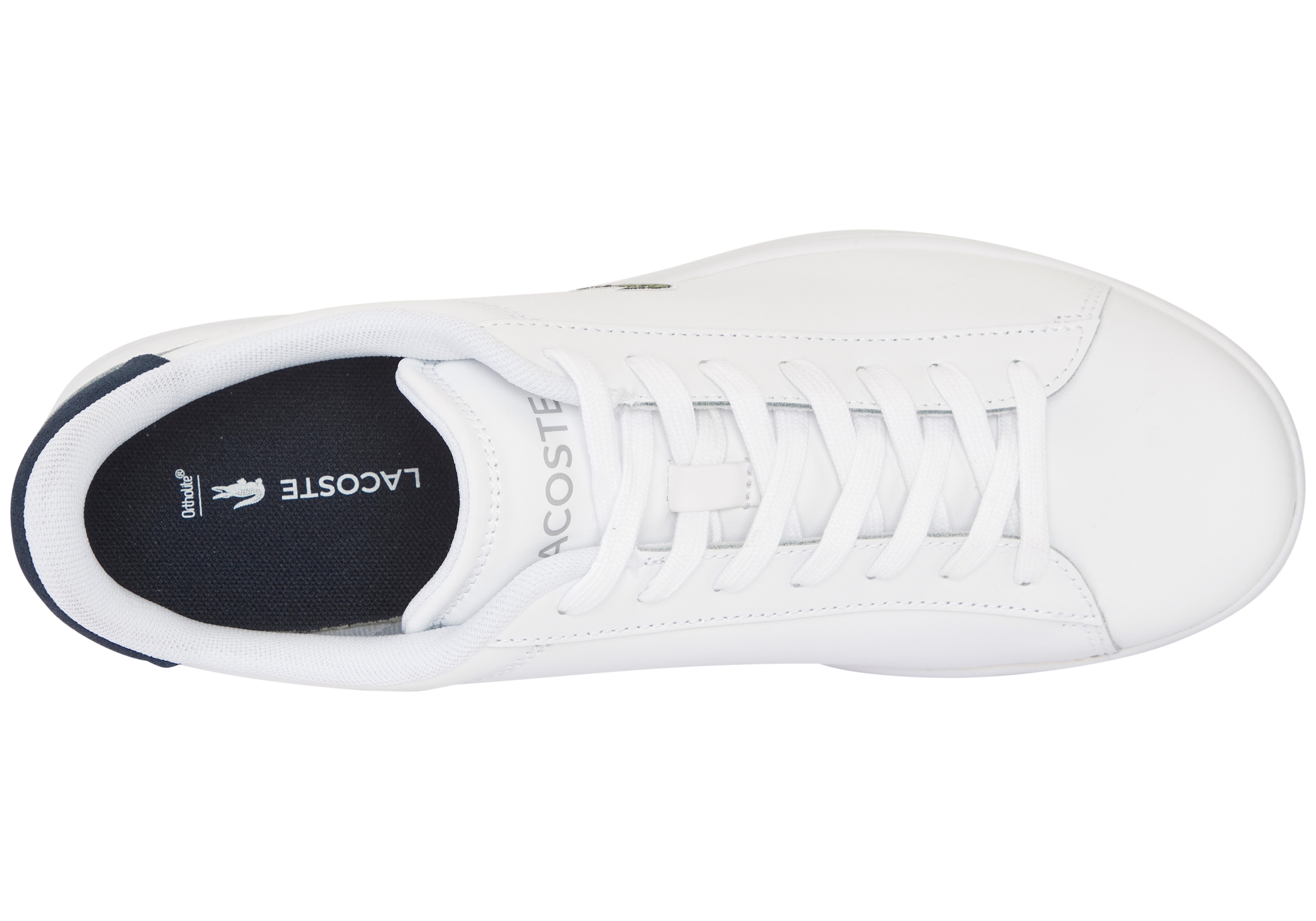 Lacoste Sneakers »CARNABY SET«