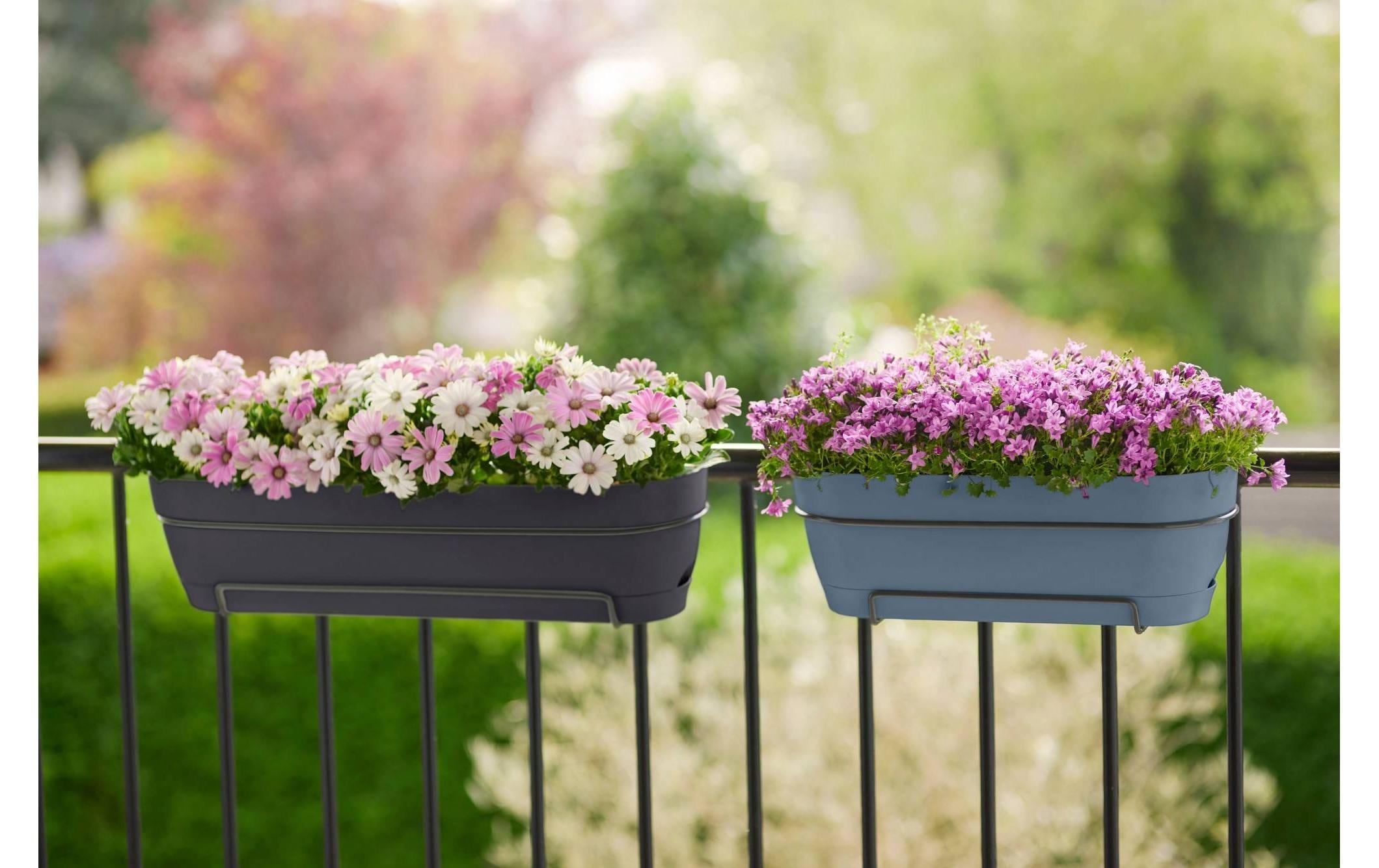 Elho Blumentopf »Vibia Campana Balkonkasten Allin1 70 cm«