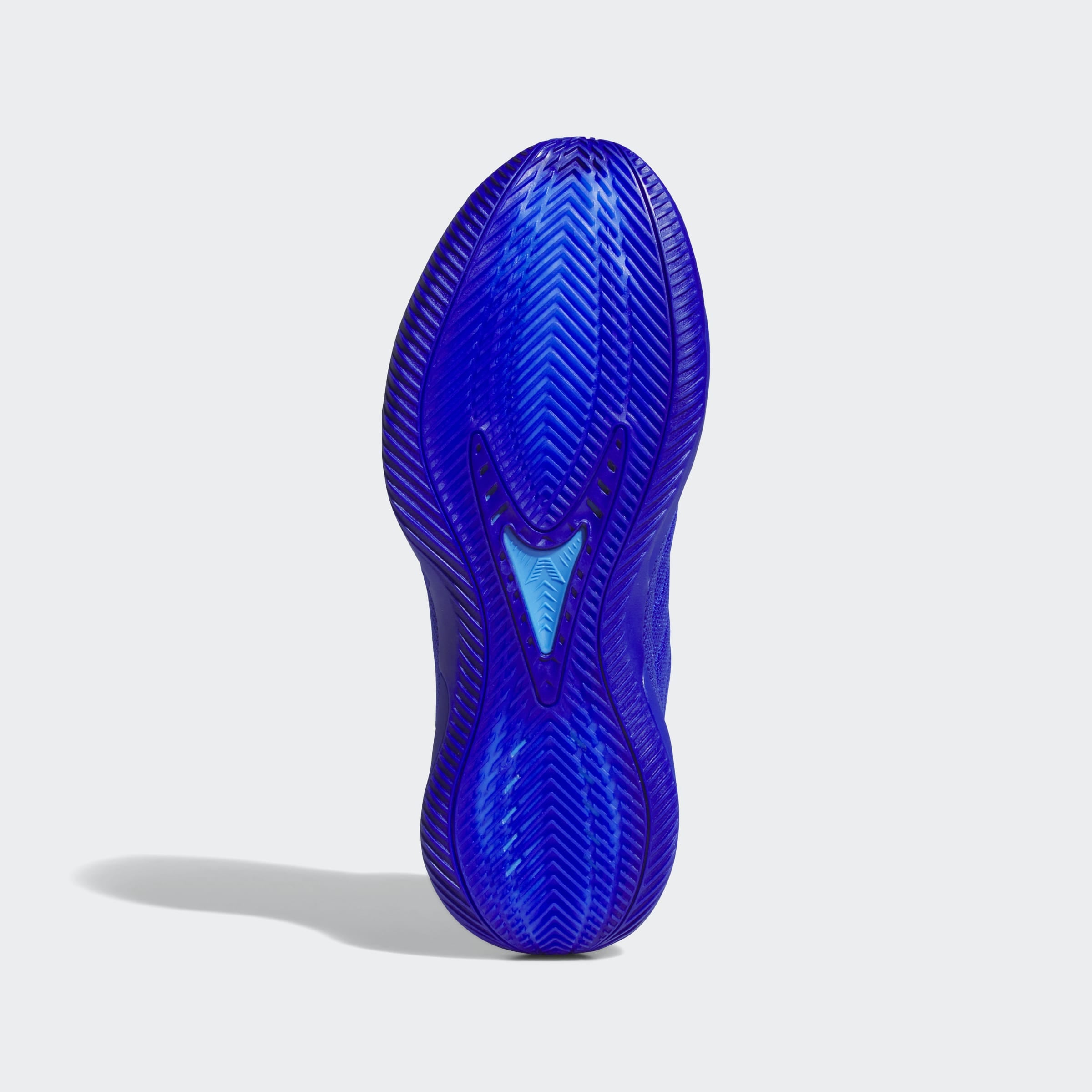 adidas Performance Chaussure de basket »ANTHONY EDWARDS 2«
