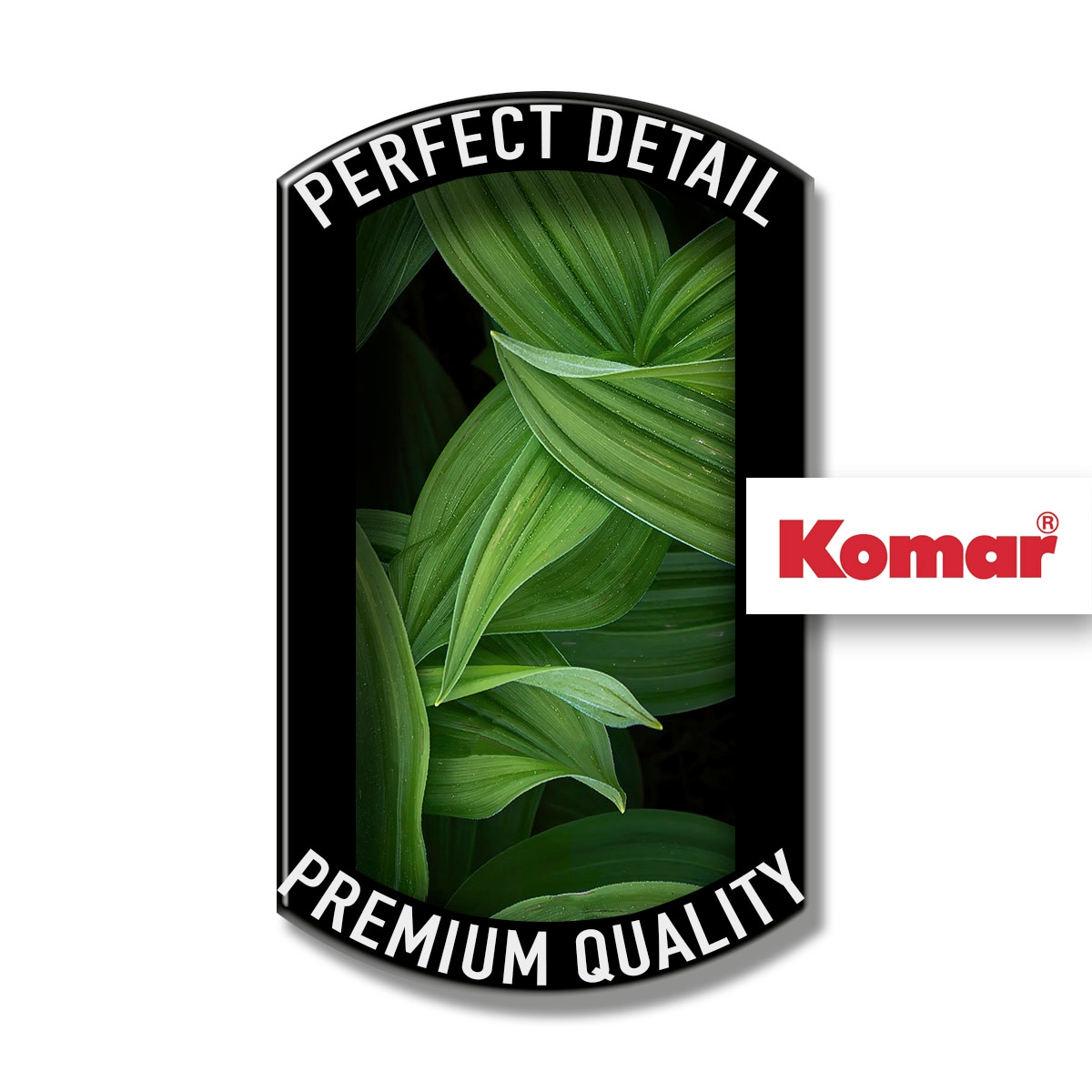 Komar Leinwandbild »Ancilla - Grösse 30 x 90 cm« Natur 1 Stk. tlg. Keilrahmenbild mi Echtholzrahmen