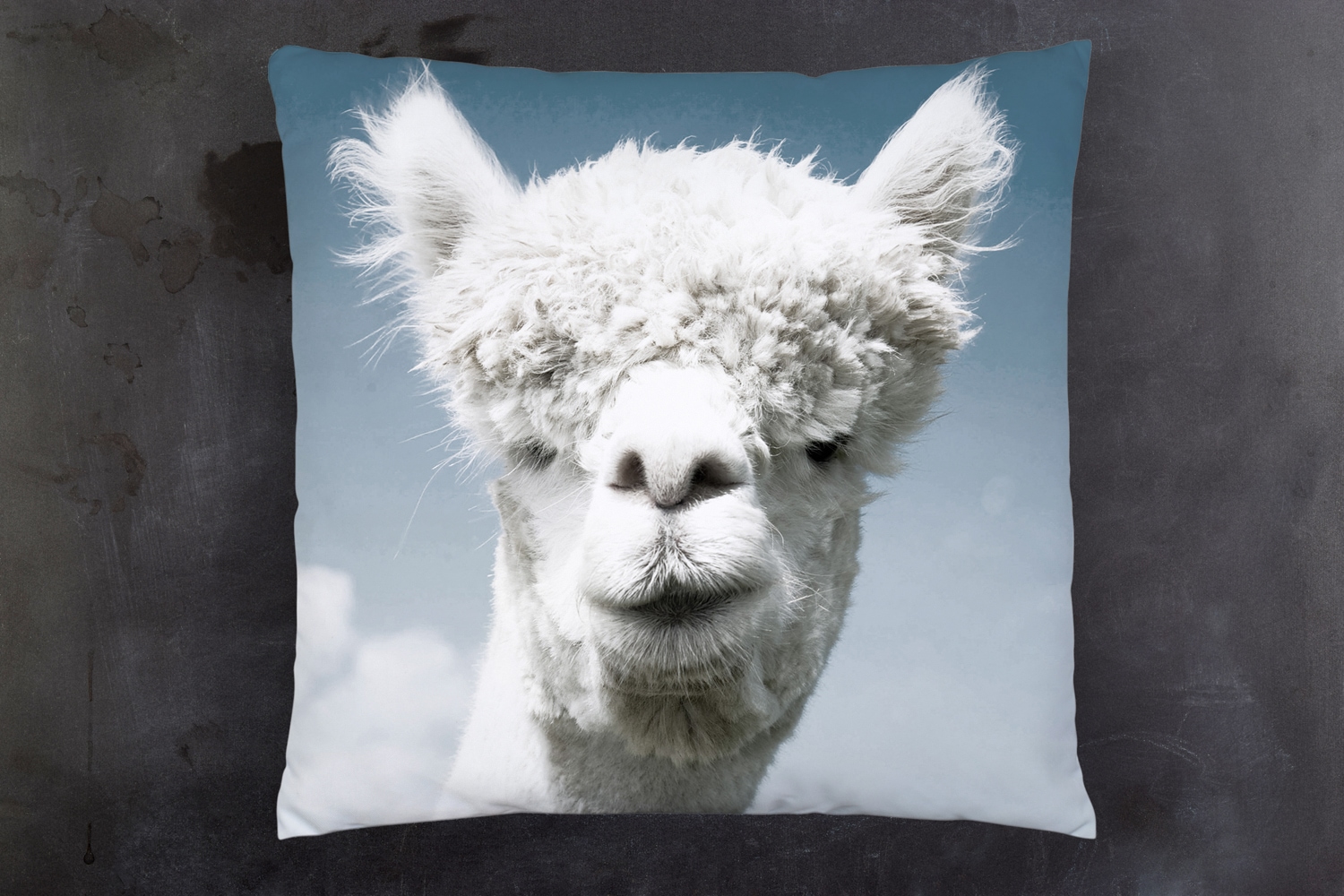 queence Dekokissen »Alpaka« Kissenhülle mit HD Premium Druck, geruchsneutral, 40x40cm