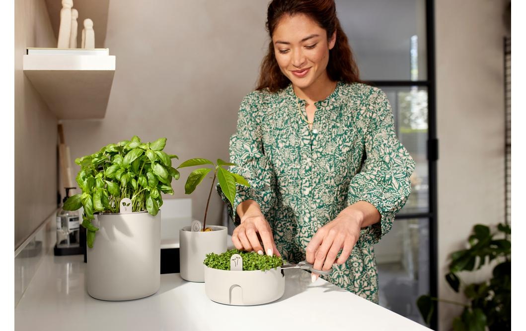 Elho Pot à herbes »Magic Microgreens 17 cm«