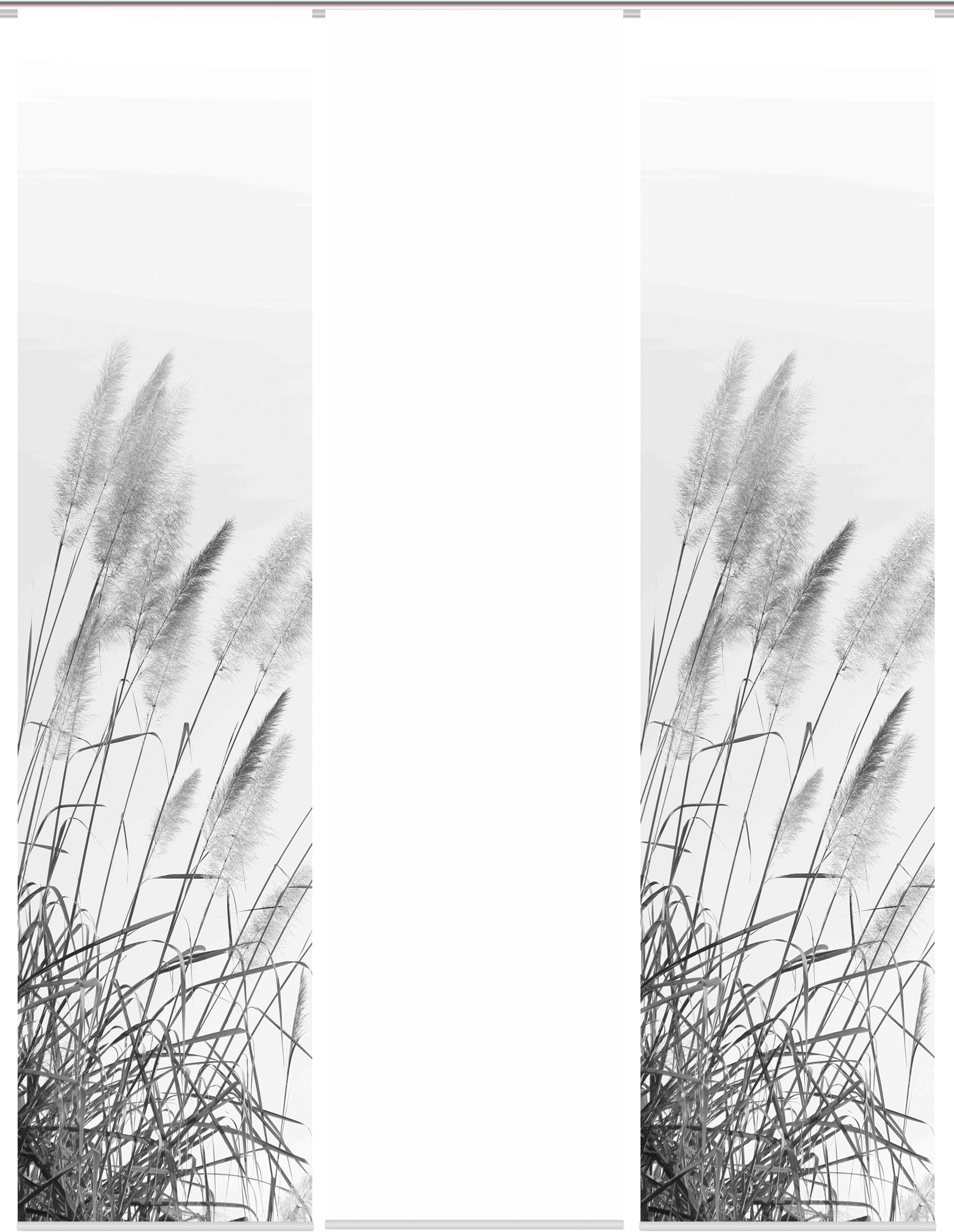 HOME WOHNIDEEN Schiebegardine »PAMPAS« Paneelwagen 1 Stk. tlg. DIGITALDRUCK