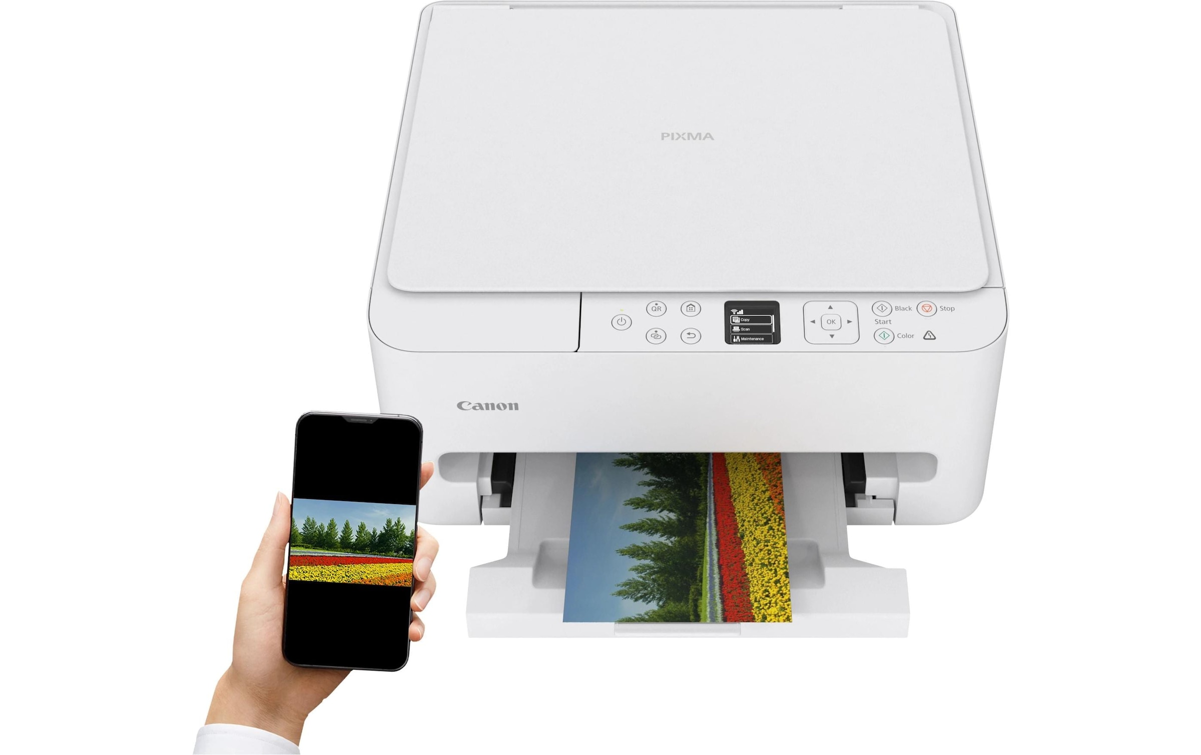 Canon Multifunktionsdrucker »PIXMA TS6550i«