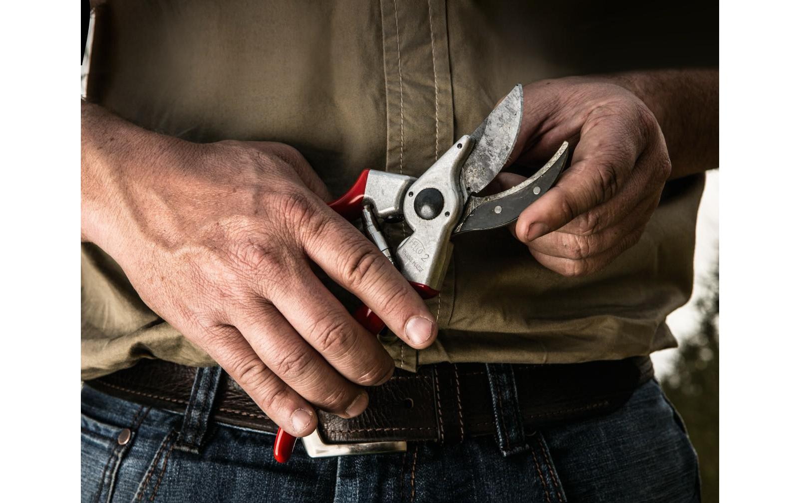 FELCO Sécateur de jardin »499«