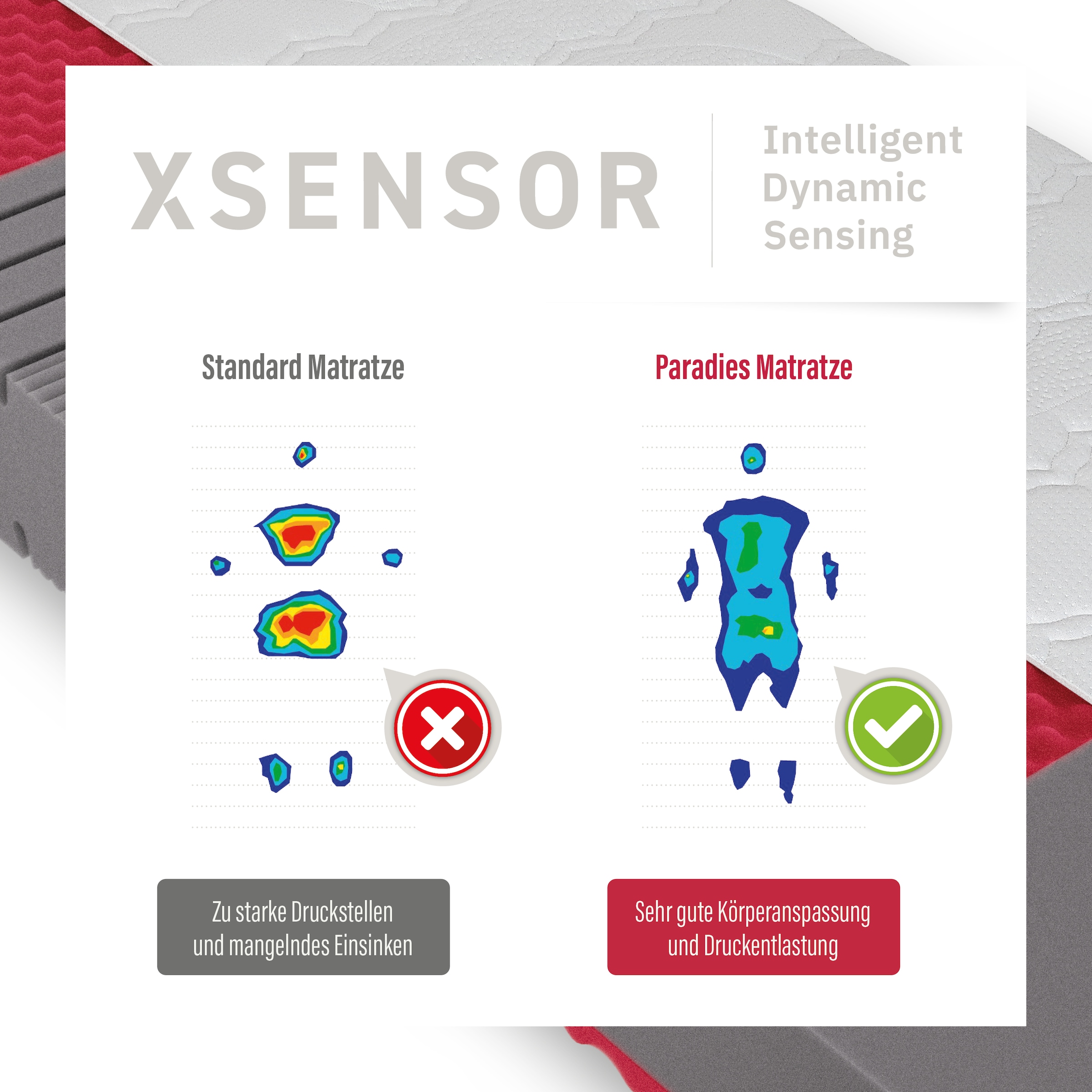 Paradies Matelas en mousse froide »Neuheit: Paradies Prolife Supreme, Testsieger Stiftung Warentest« 22 cm hoch Raumgewicht: 35 kg/m³ 1 cuis tlg. Note GUT (2,2), getestet in 90x200 cm, Härtegrad 3