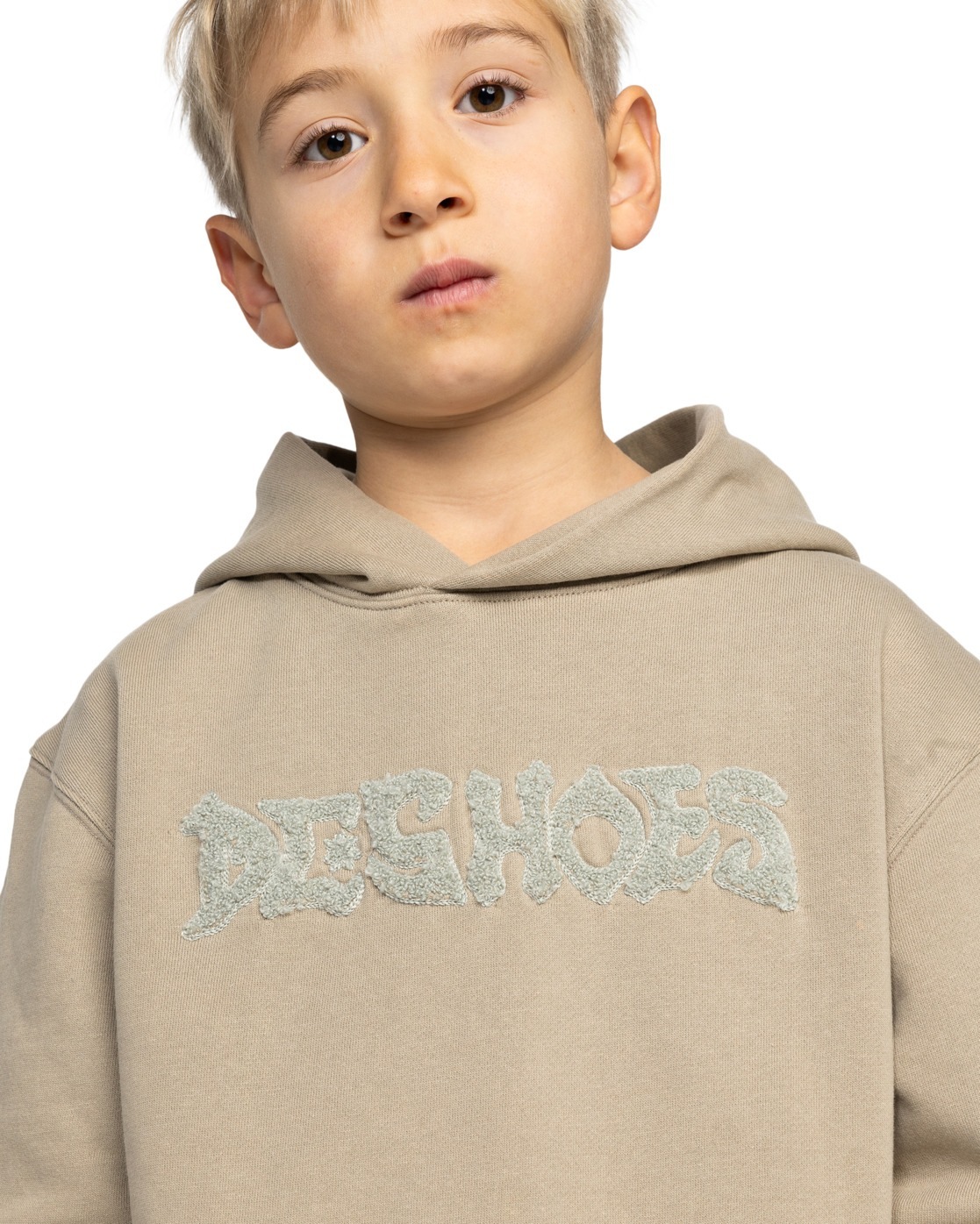 DC Shoes Kapuzensweatshirt »Mortar«
