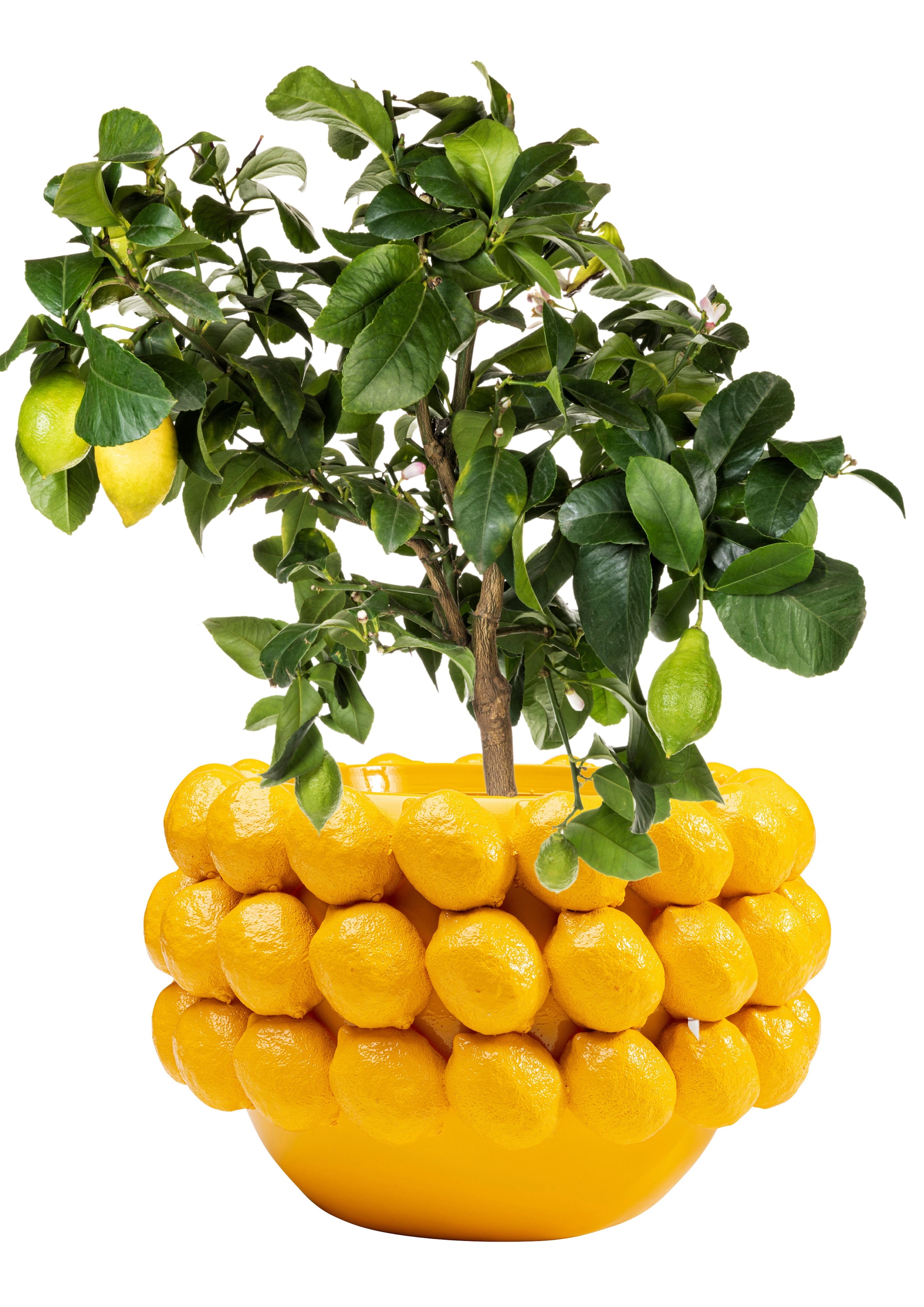 Kare Design Cache-pot »Deko Übertopf Lemon Juice 22cm«
