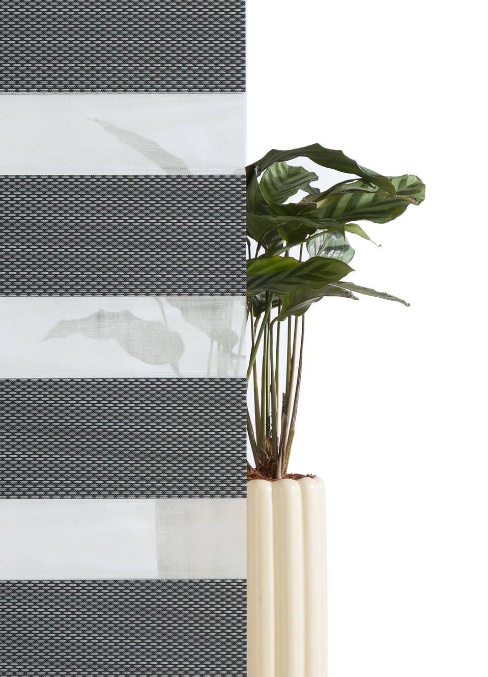 Bruno Banani Doppelrollo »KIAN« Lichtschutz Sichtschutz ohne Bohren freihängend Klemmfix Doppelrollo- NEUHEIT!