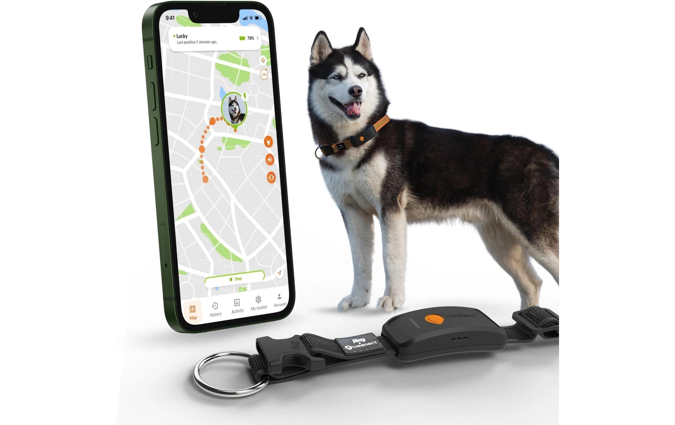   GPS-Hundetracker »Weenect für Hunde XT mit Halsband«
