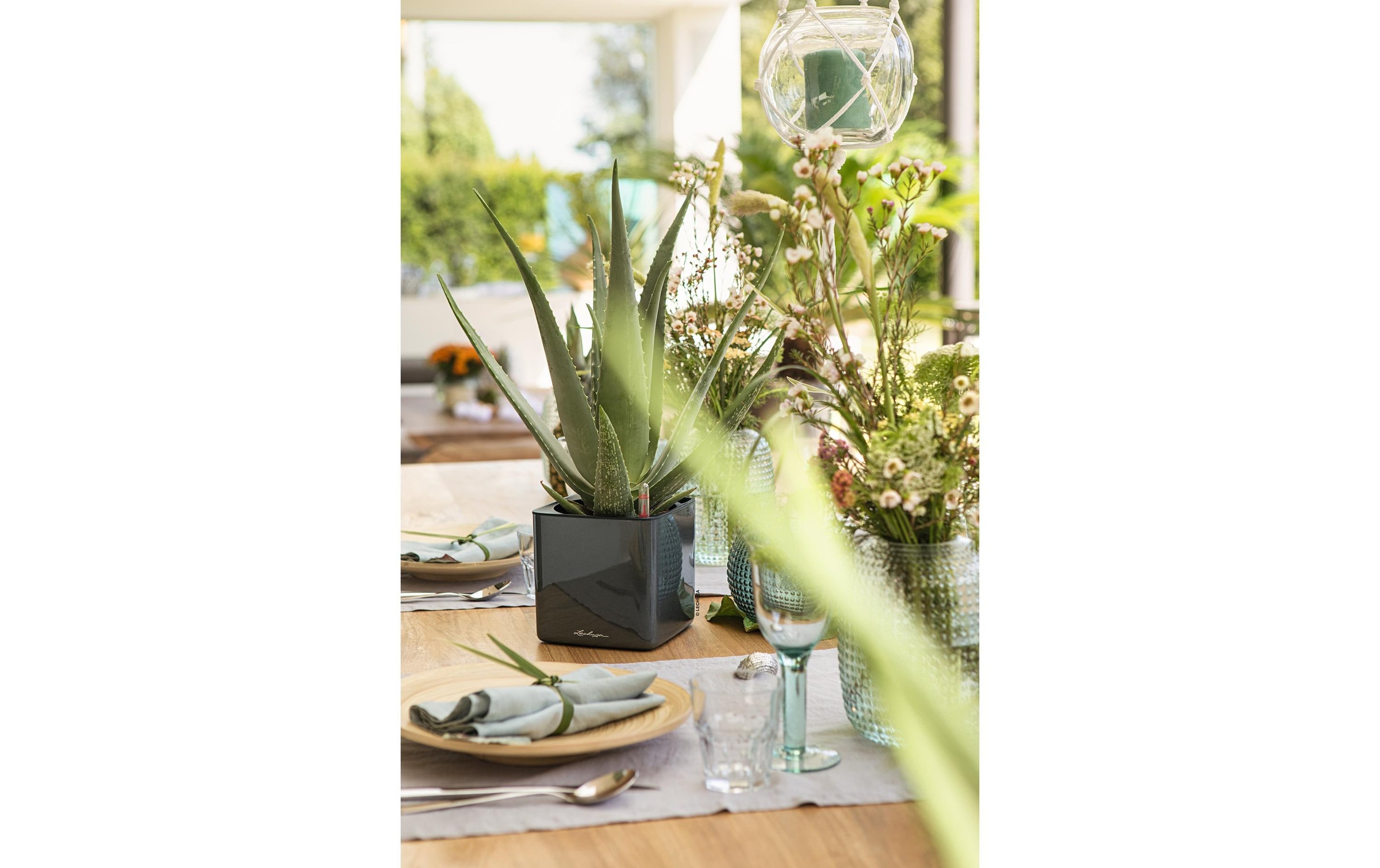   Pot de fleurs »Lechuza CUBE Glossy 14«