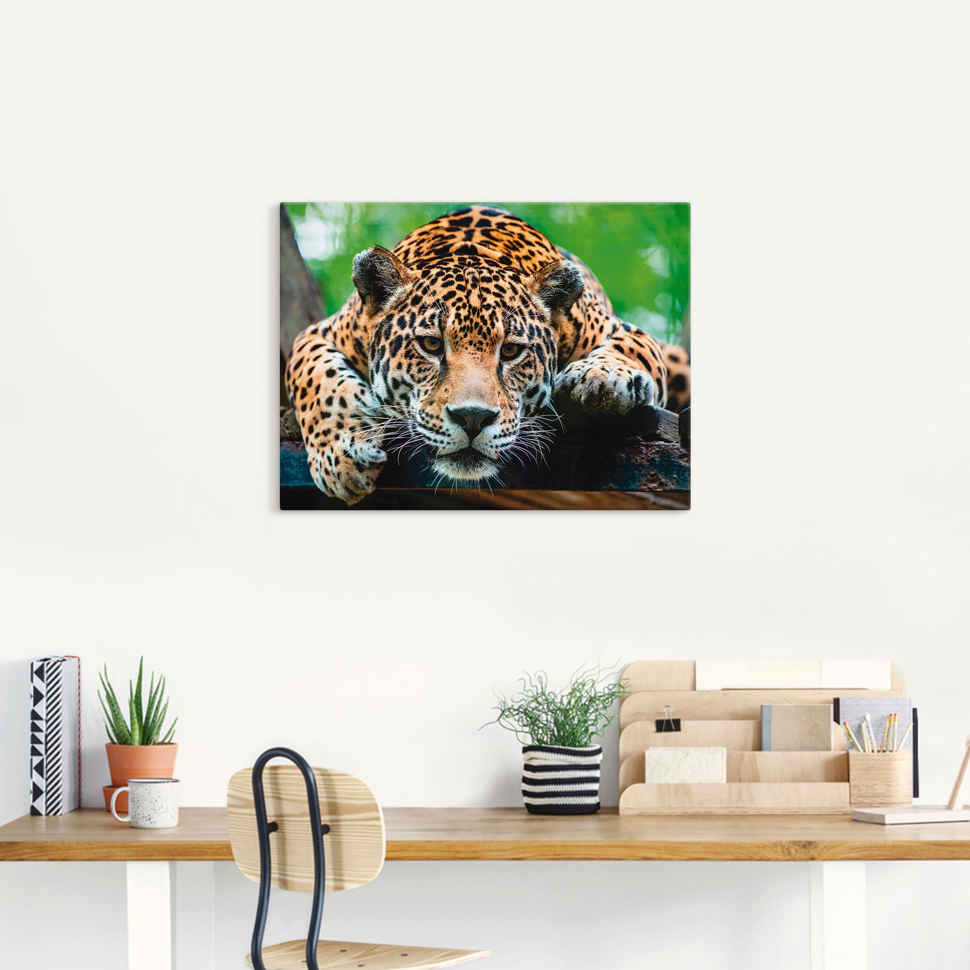 Artland Leinwandbild »Südamerikanischer Jaguar« Wildtiere 1 Stk. tlg. auf Holzrahmen gespannt