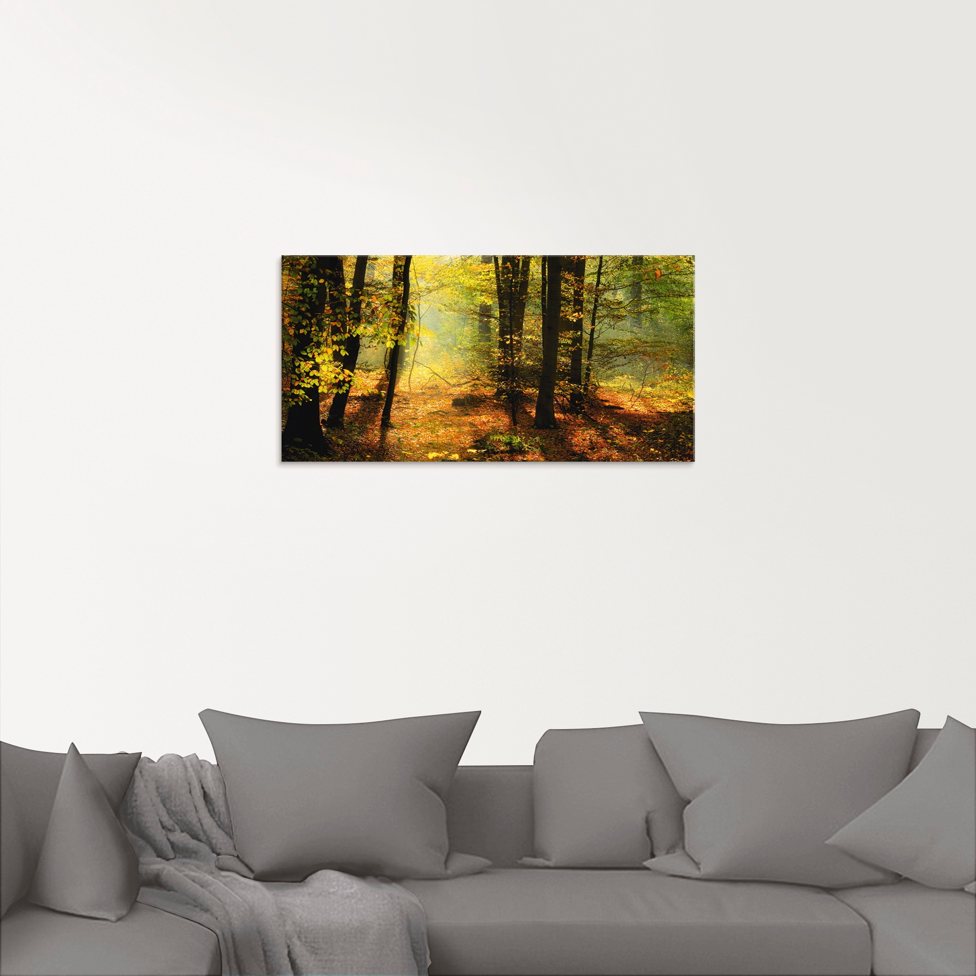 Artland Glasbild »Herbstlicht im Wald« Wald 1 Stk. tlg. in verschiedenen Grössen