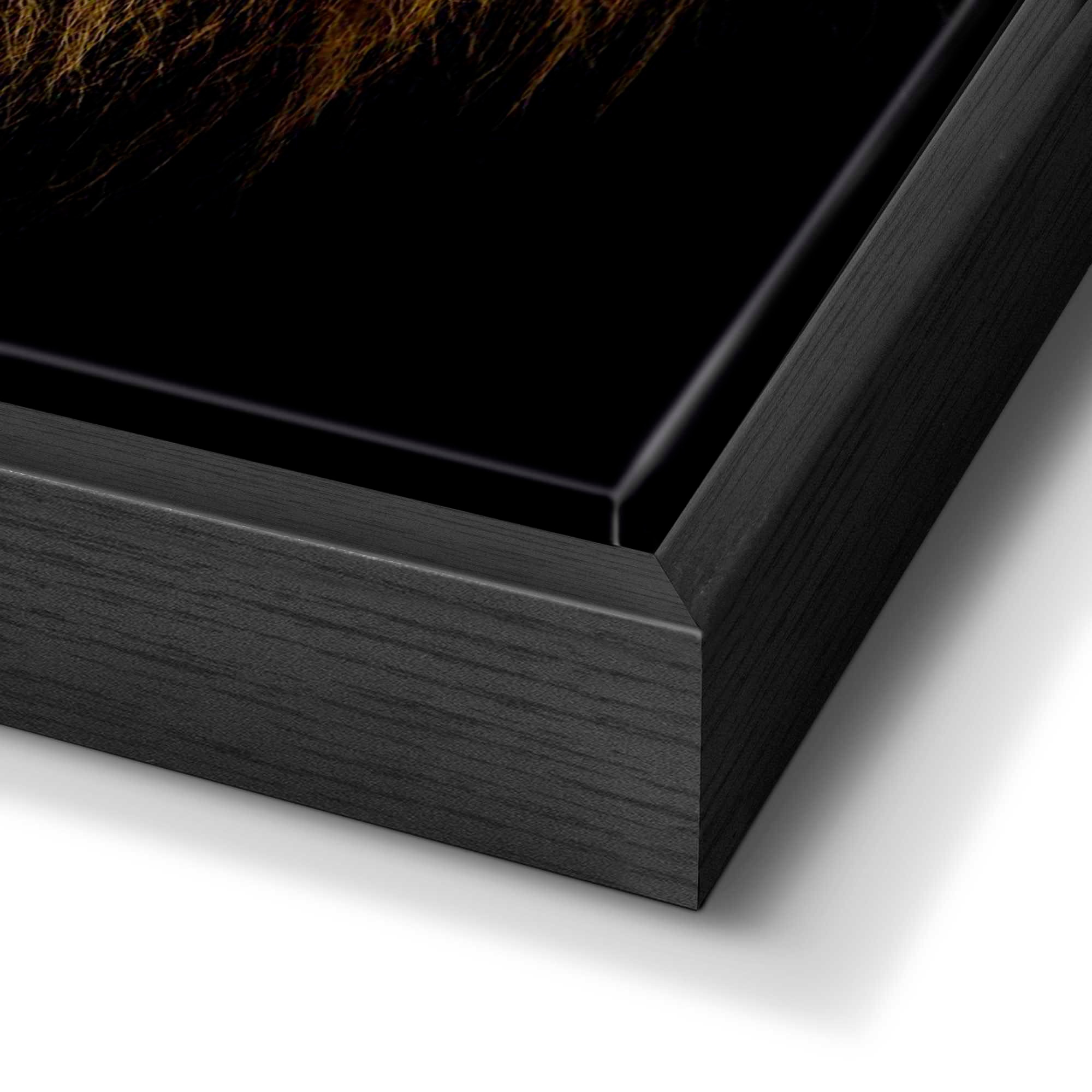 Reinders! Image »Löwe«