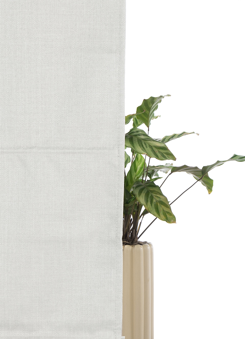 my home Store à enrouleur »RIOLA« verdunkelnd ohne Bohren freihängend Faltrollo in trendiger Leinenoptik NEUHEIT!