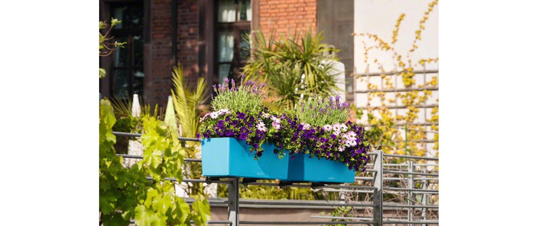   Bac à plantes »Balconera Color«