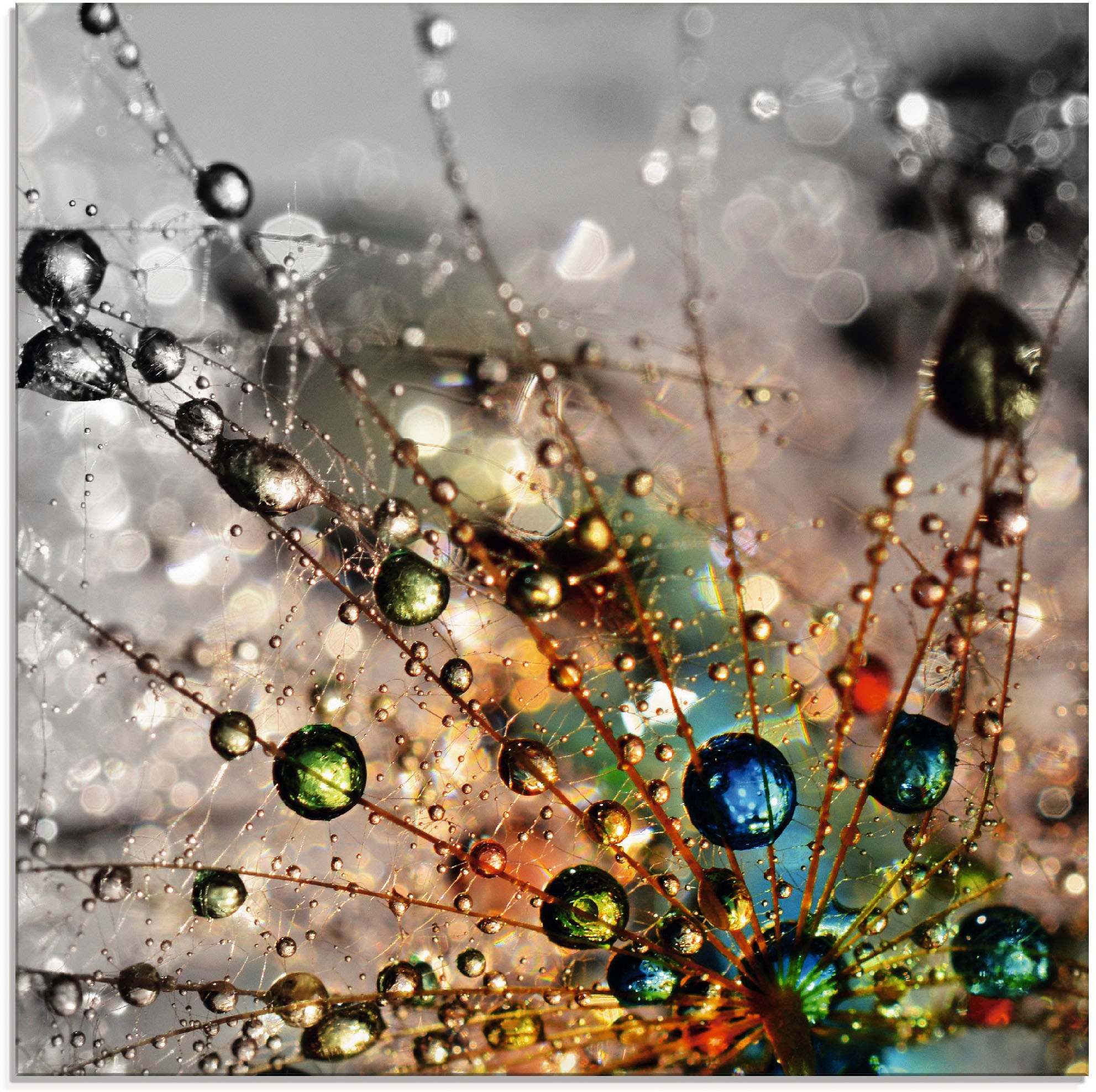 Artland Glasbild »Farbenfrohe Natur« Blumen 1 Stk. tlg. in verschiedenen Grössen