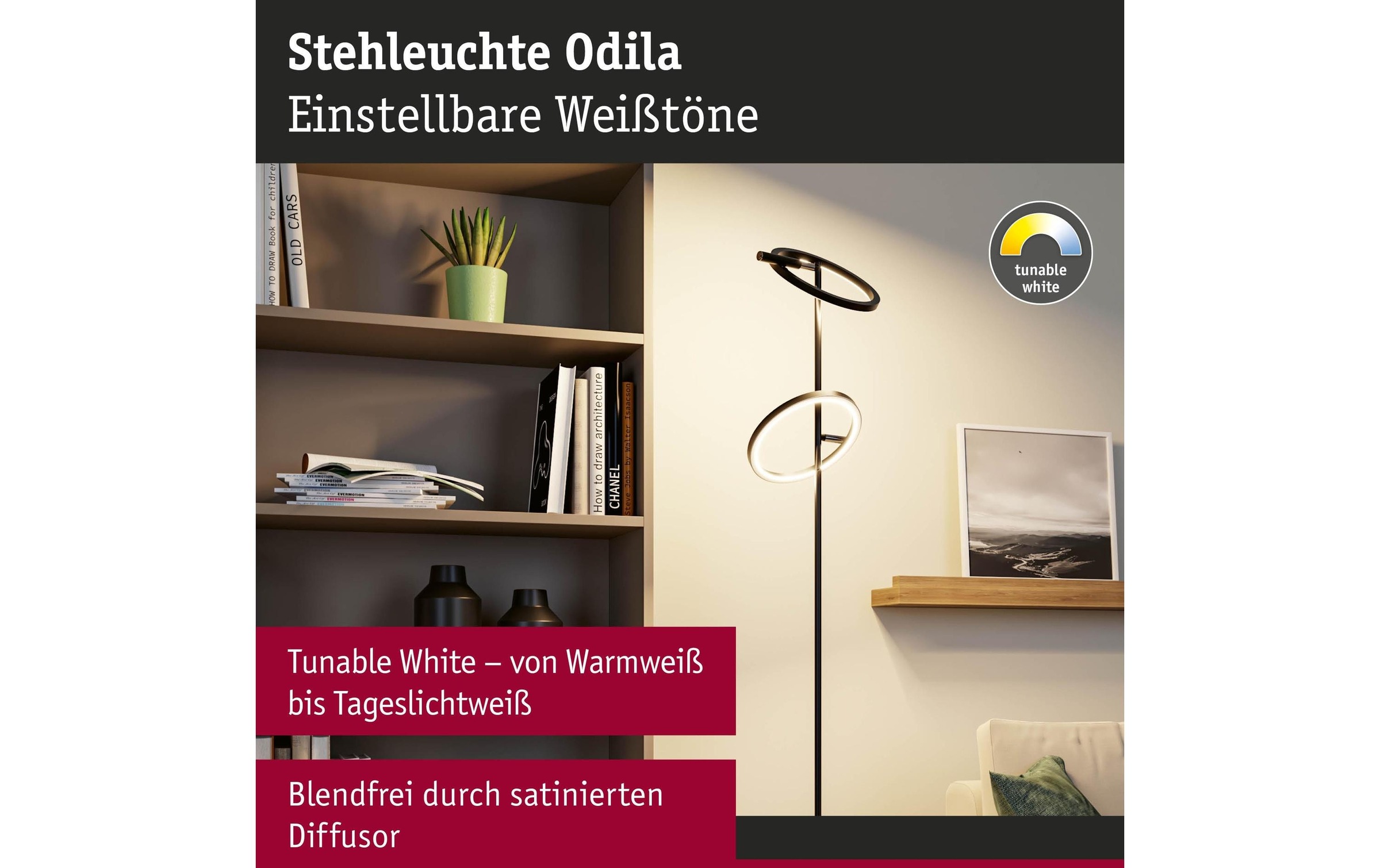 Paulmann Lampadaire à LED »Stehleuchte Odila, Schwarz matt« Module LED blanc chaud - blanc froid