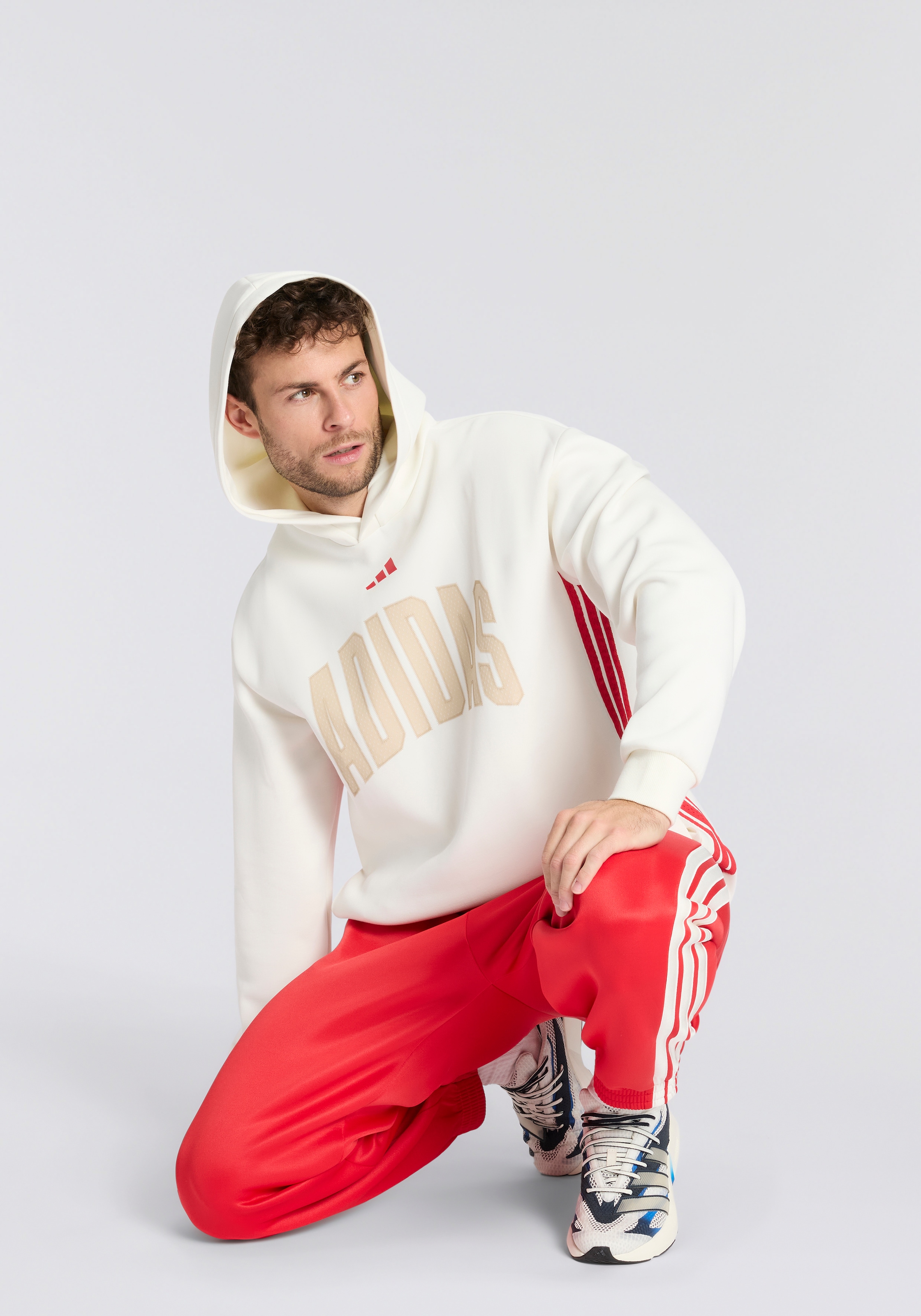 adidas Sportswear Sweat à capuche »STADIUM GRAPHIC HOODIE«
