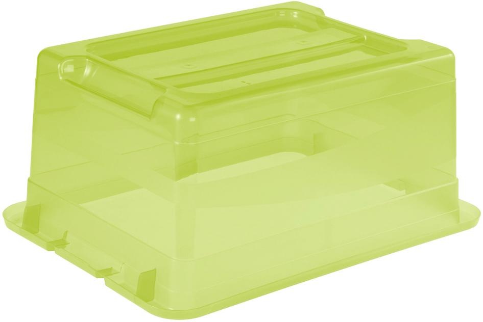 keeeper Organiseur »cornelia« Aufbewahrungsbox, 12 L, mit Deckel, Schiebeverschluss