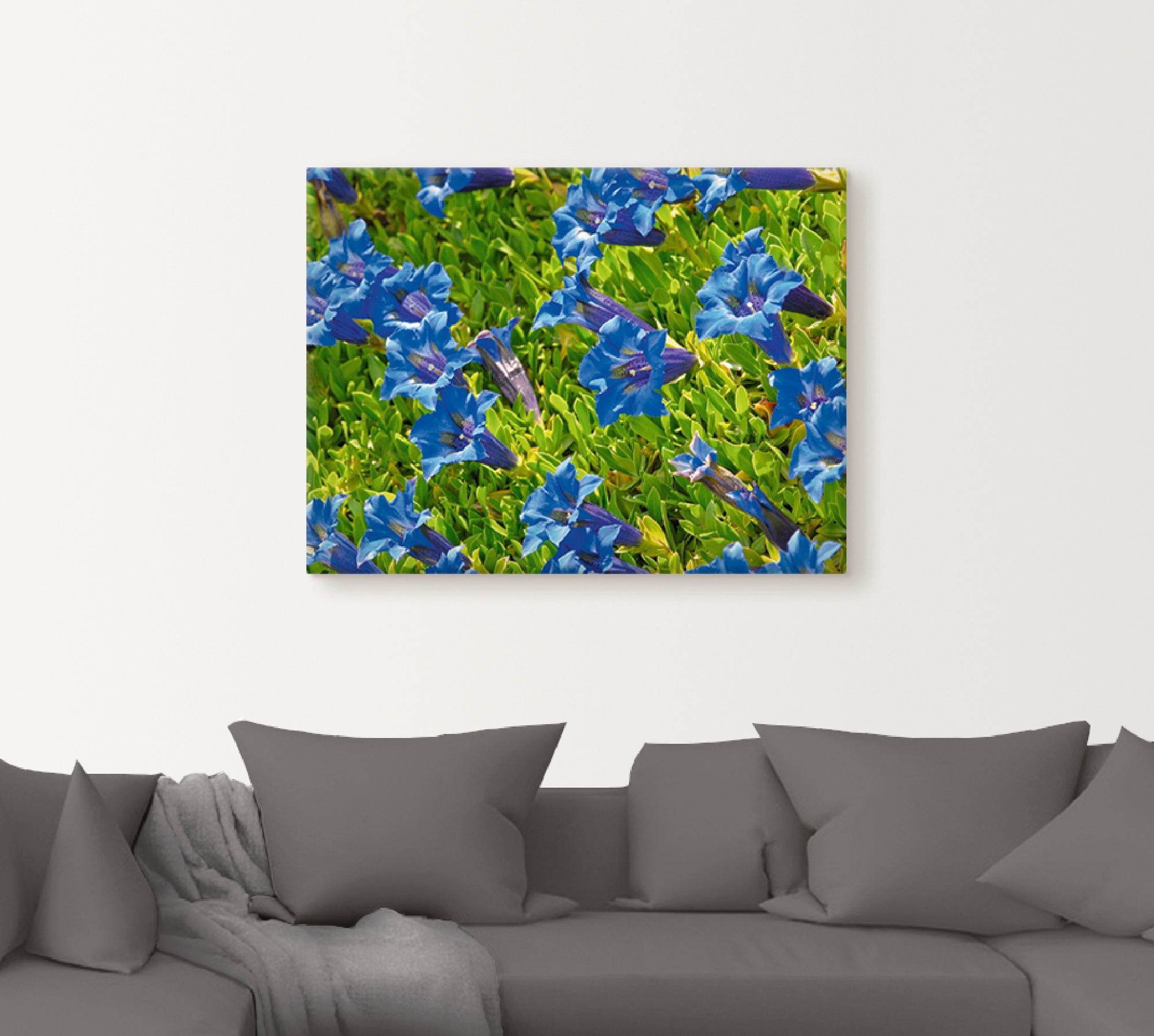 Artland Leinwandbild »Enzian« Blumenwiese 1 Stk. tlg. auf Holzrahmen gespannt