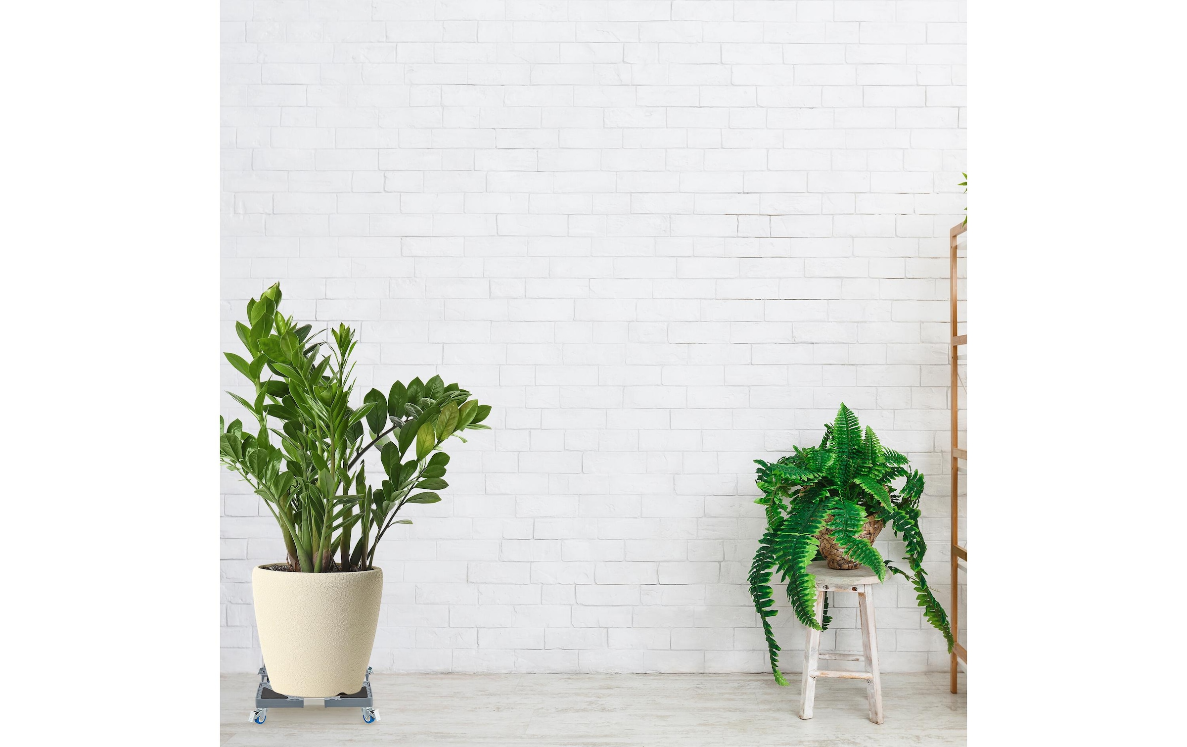 relaxdays Dessous de pot de fleurs »Pflanzenroller«