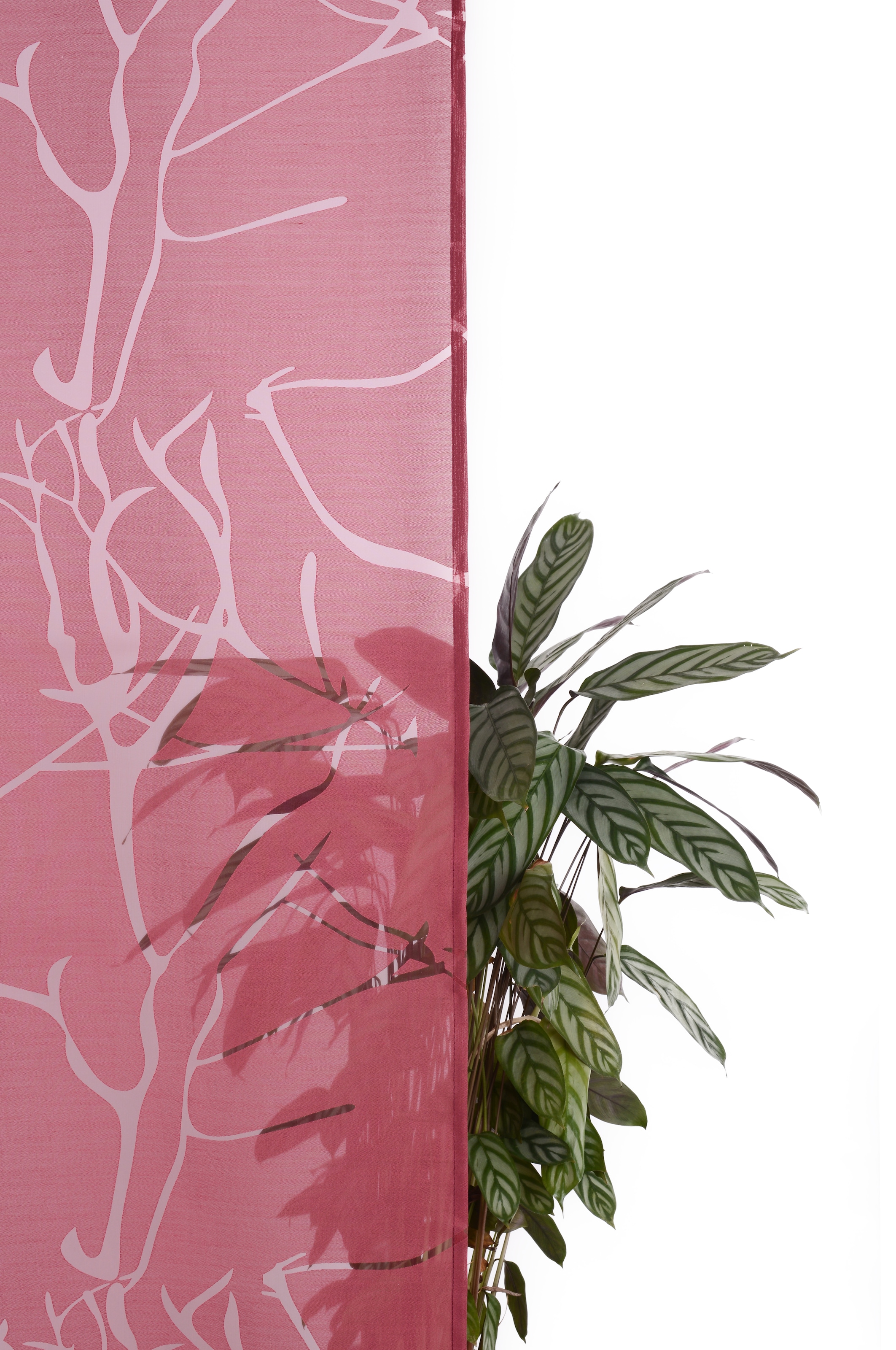 my home Rideau coulissant »Anna« Velcro 1 cuis tlg. Inkl. Befestigungszubehör, Breite: 57 cm