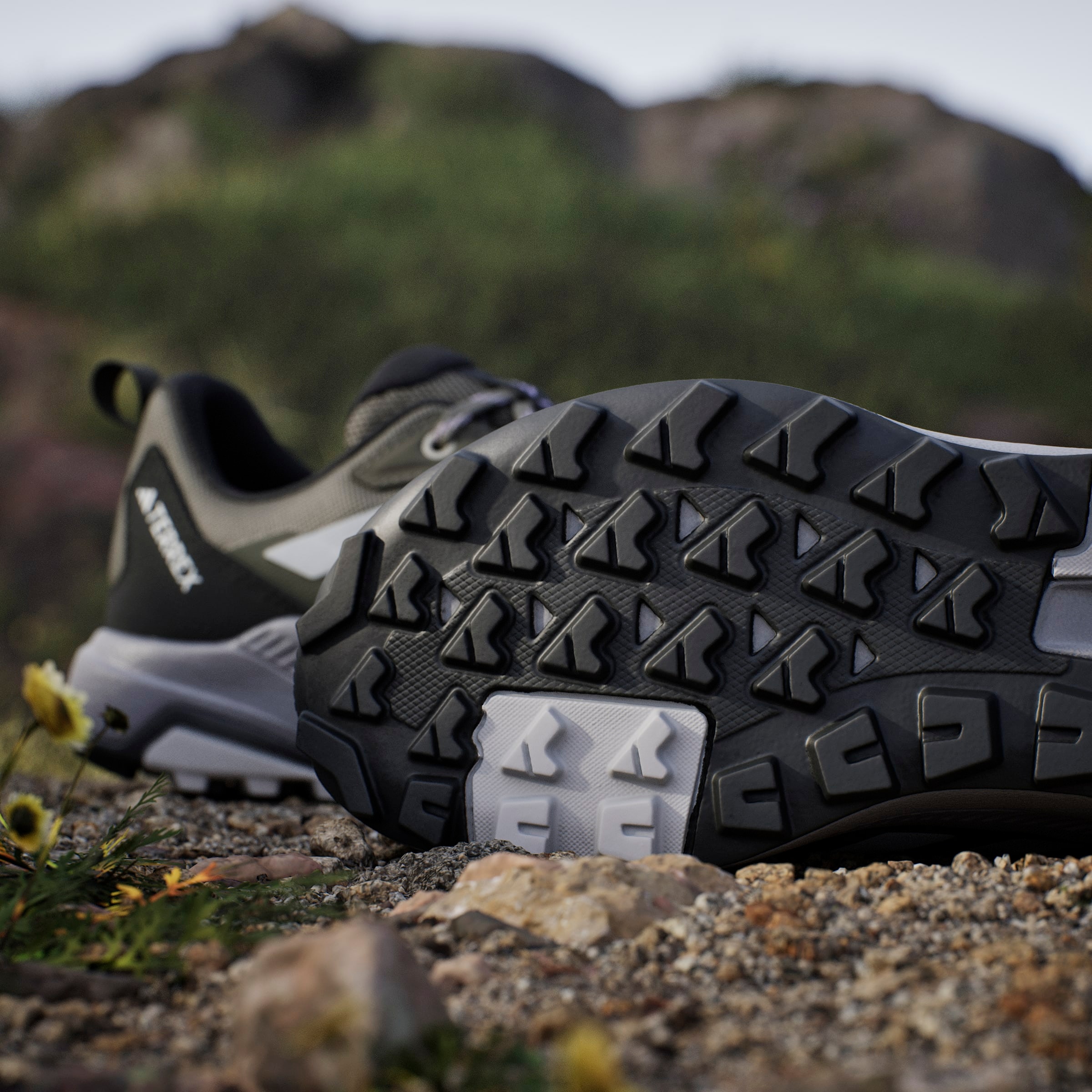 adidas TERREX Wanderschuh »TERREX ANYLANDER«
